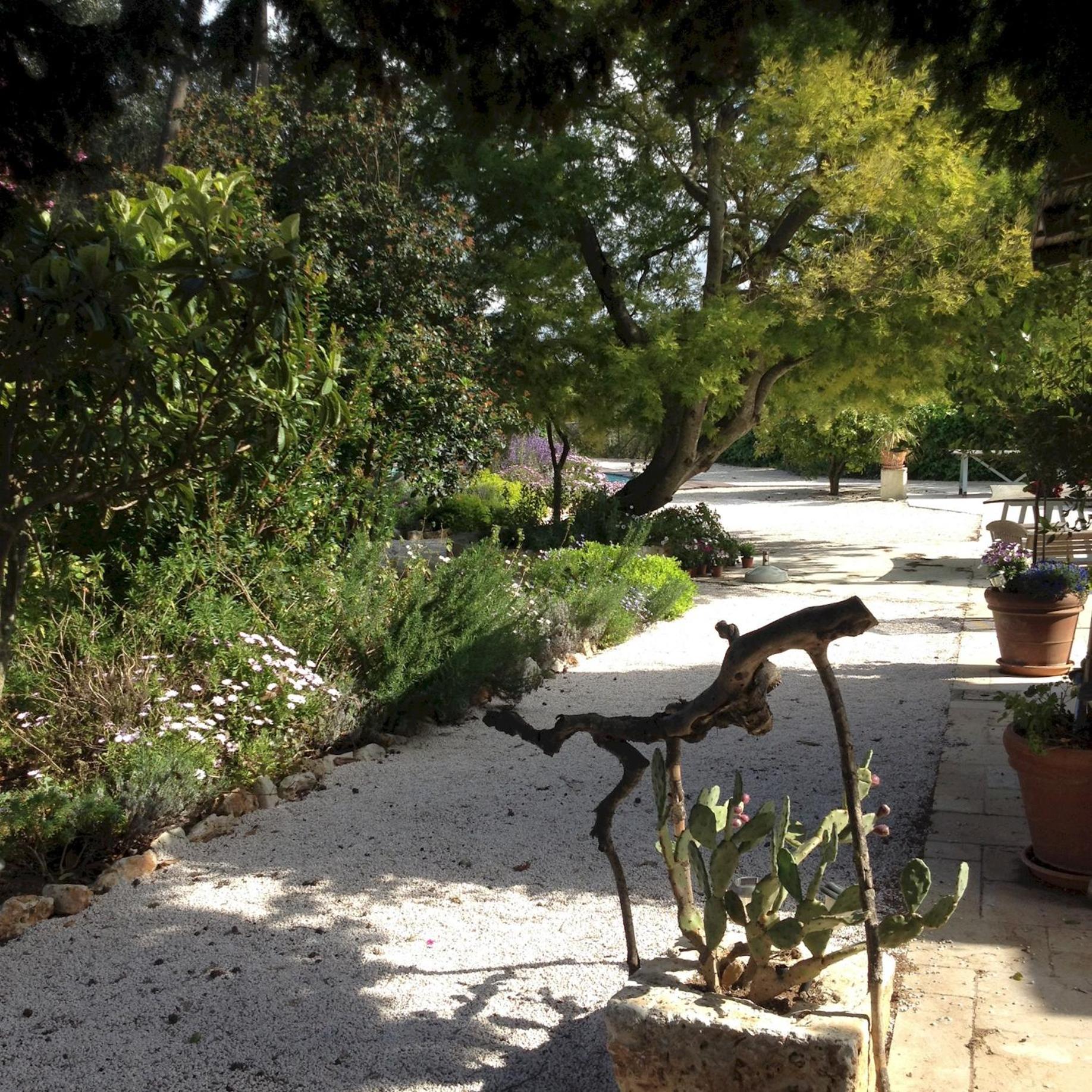 trulli mimosa by pugliadamare