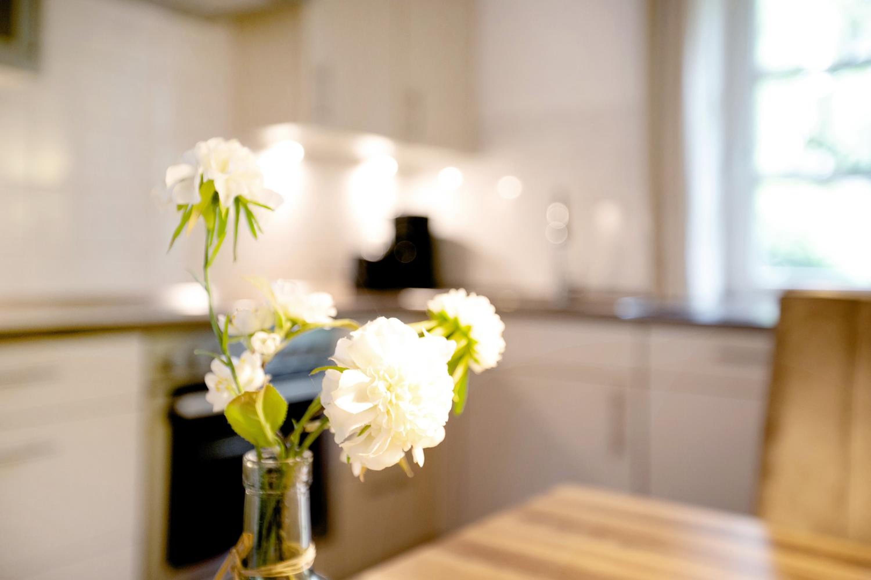 Green Oasis Ferienwohnung