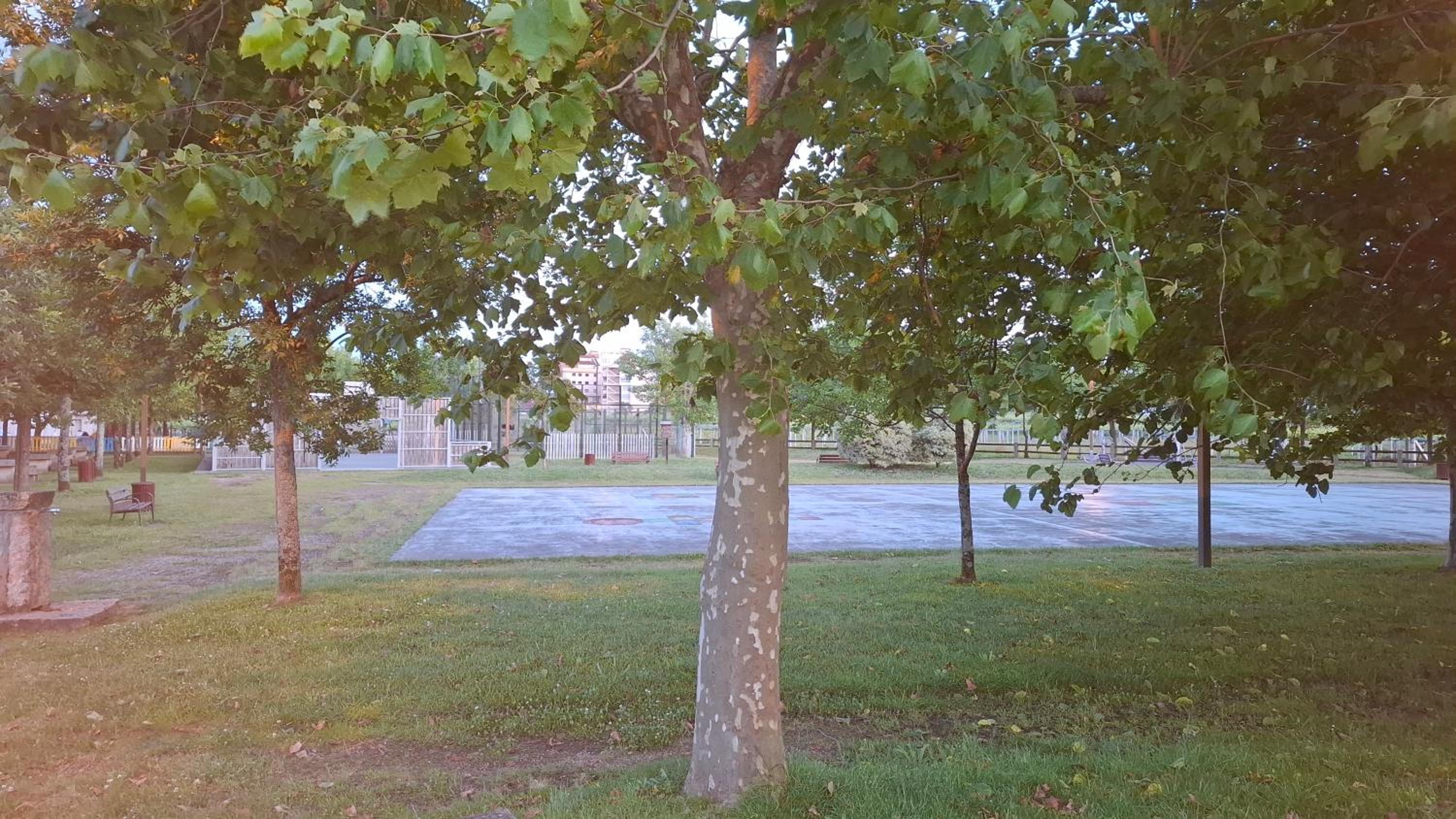 Photo 12