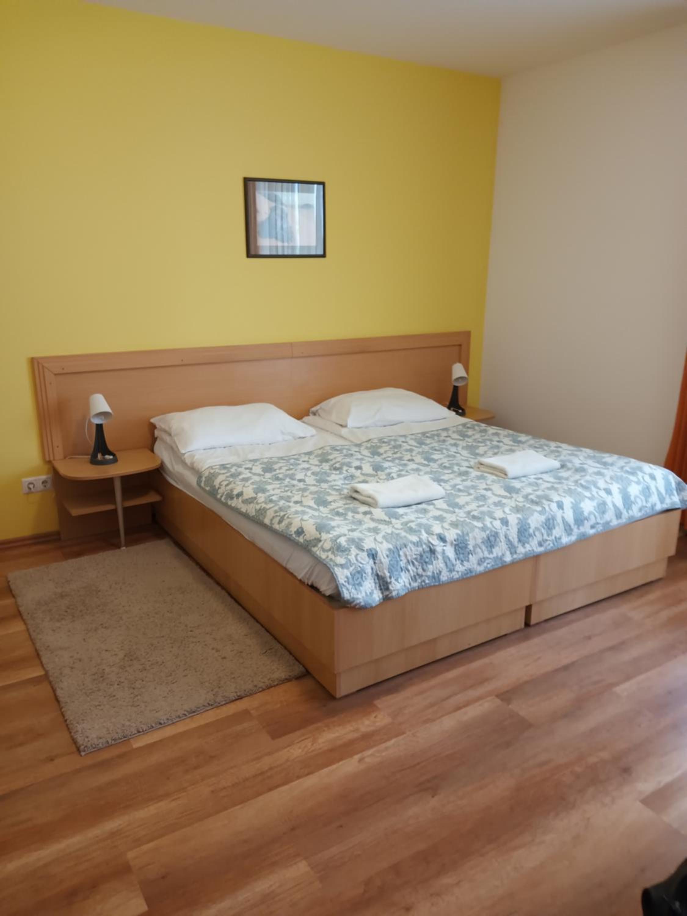 VIOLA Wellness Apartman view 4