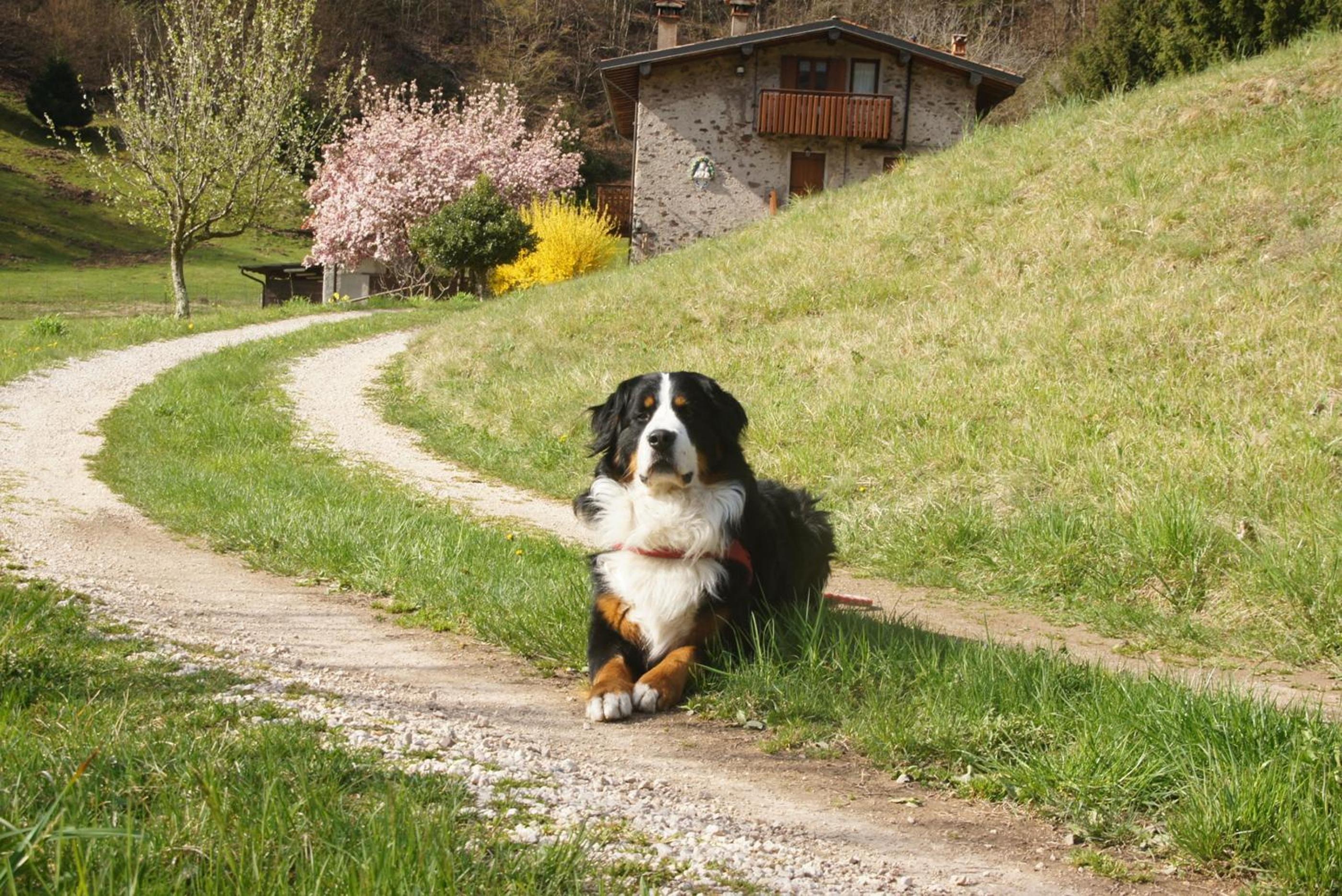 Casa FontaGusta - Digital Detox am Idrosee