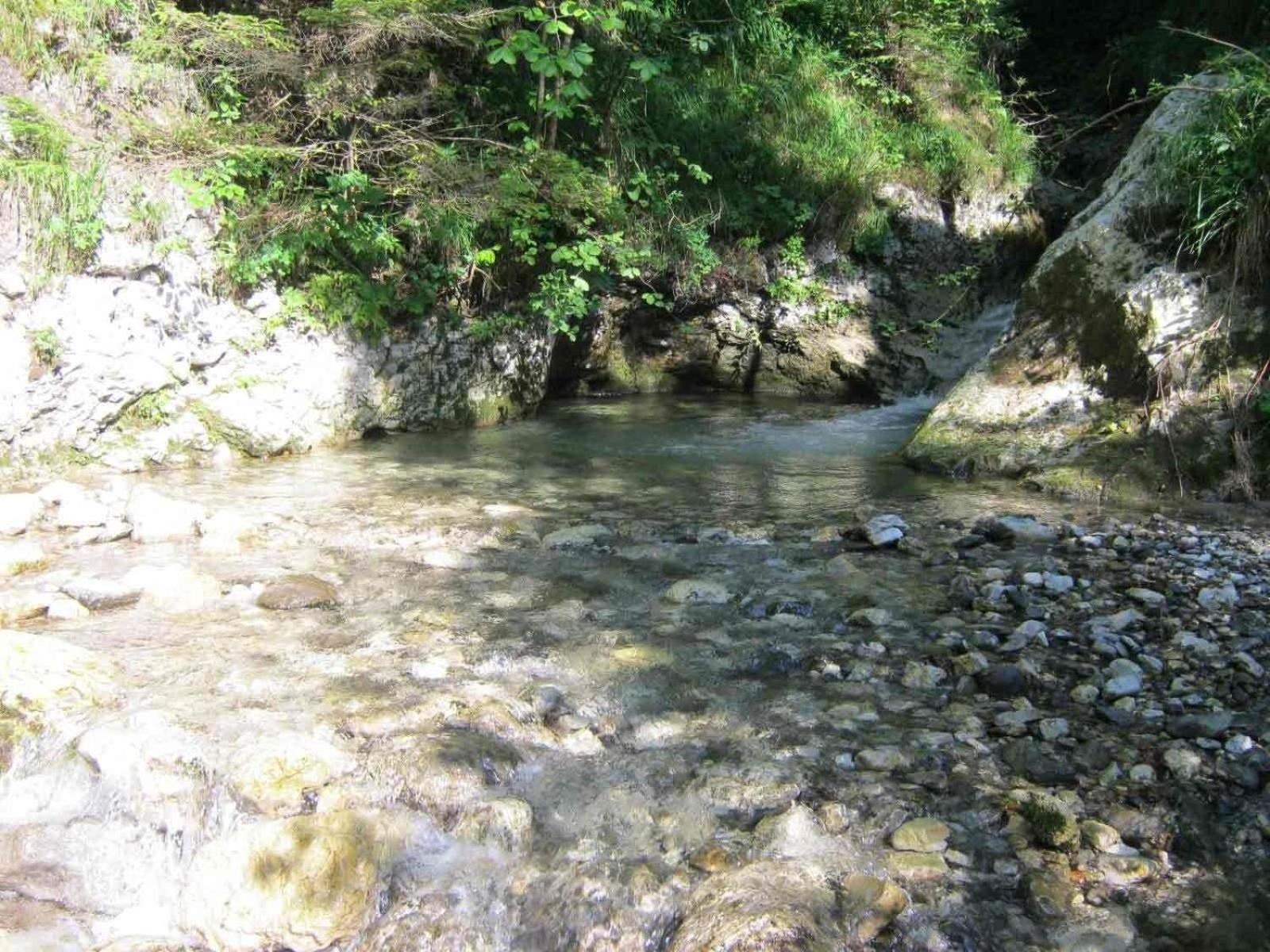 Geräumiges Ferienhaus Inmitten Der Natur view 3
