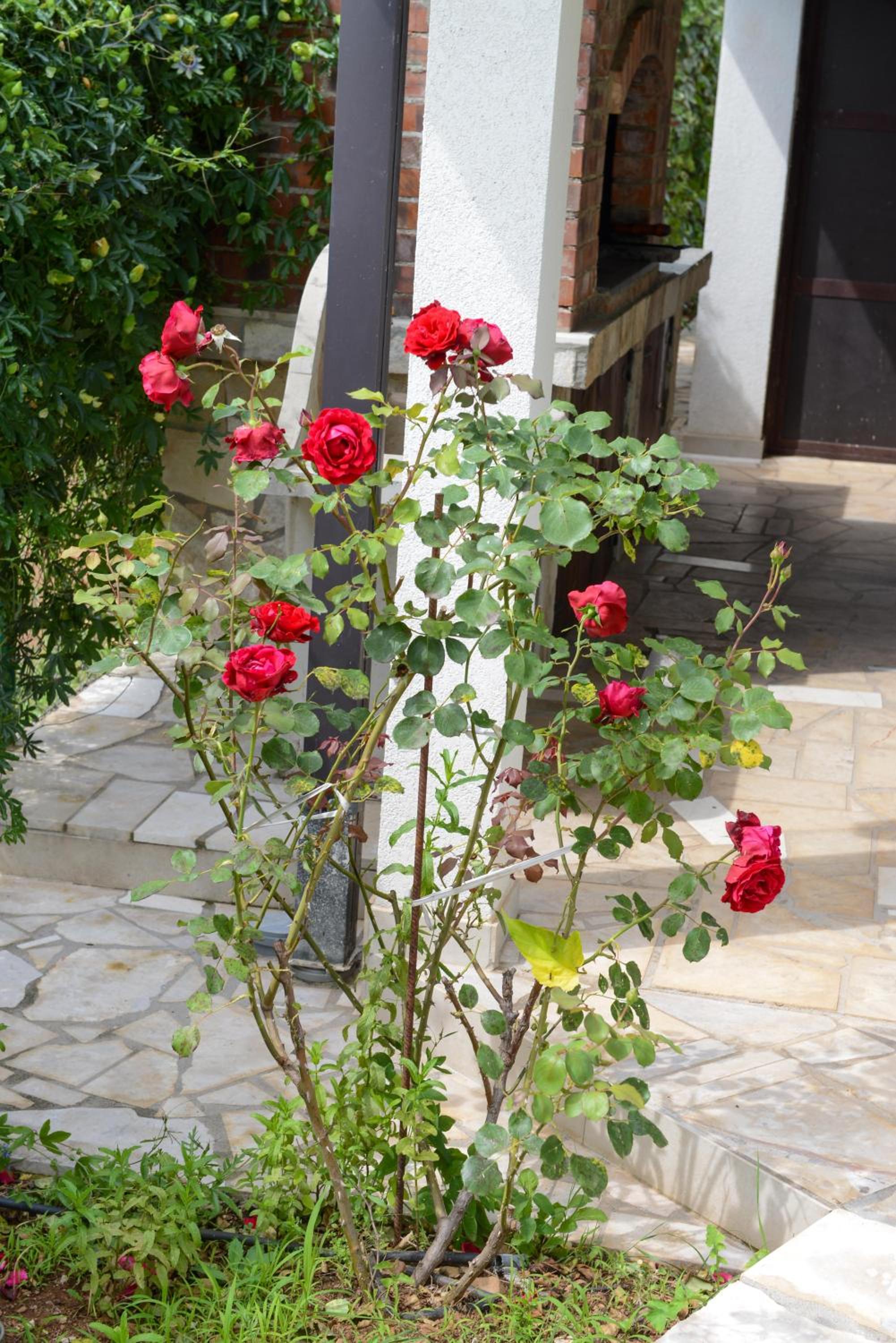 Holiday Home Vemini