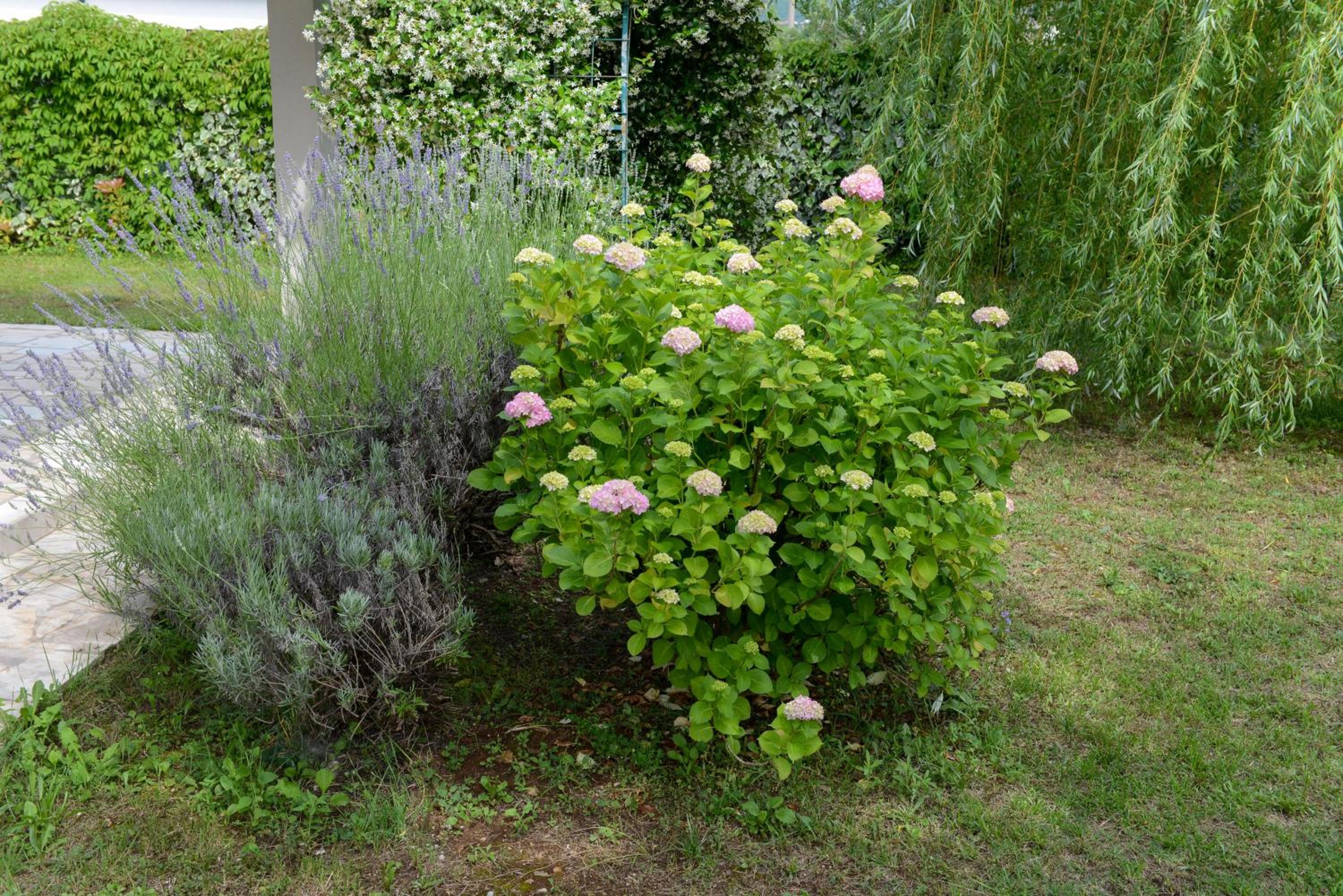 Holiday Home Vemini