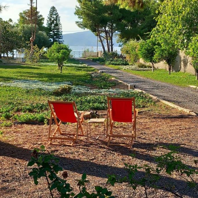 Coralia's beachfront sea view studio view 2