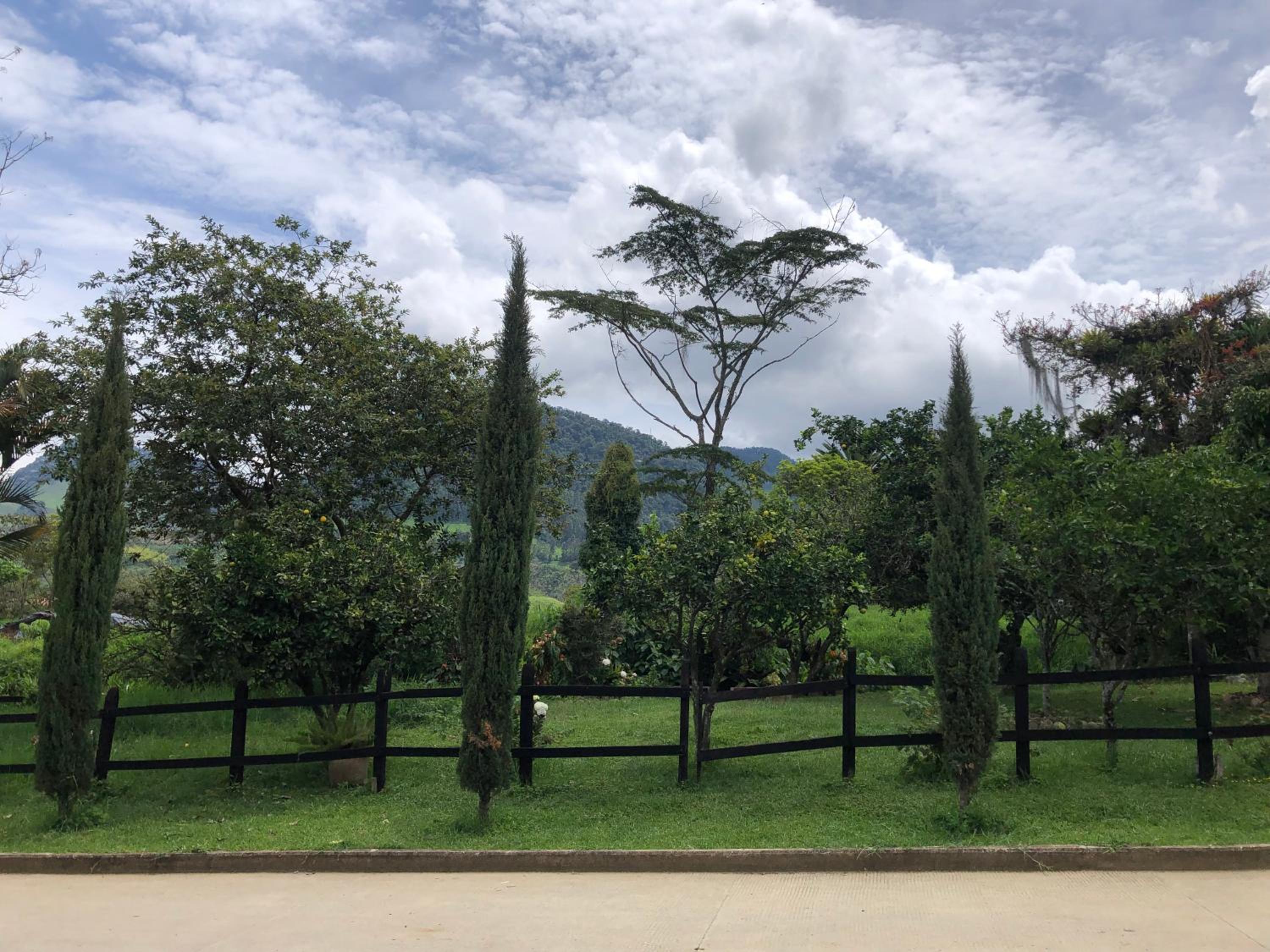 Casa El Pinar