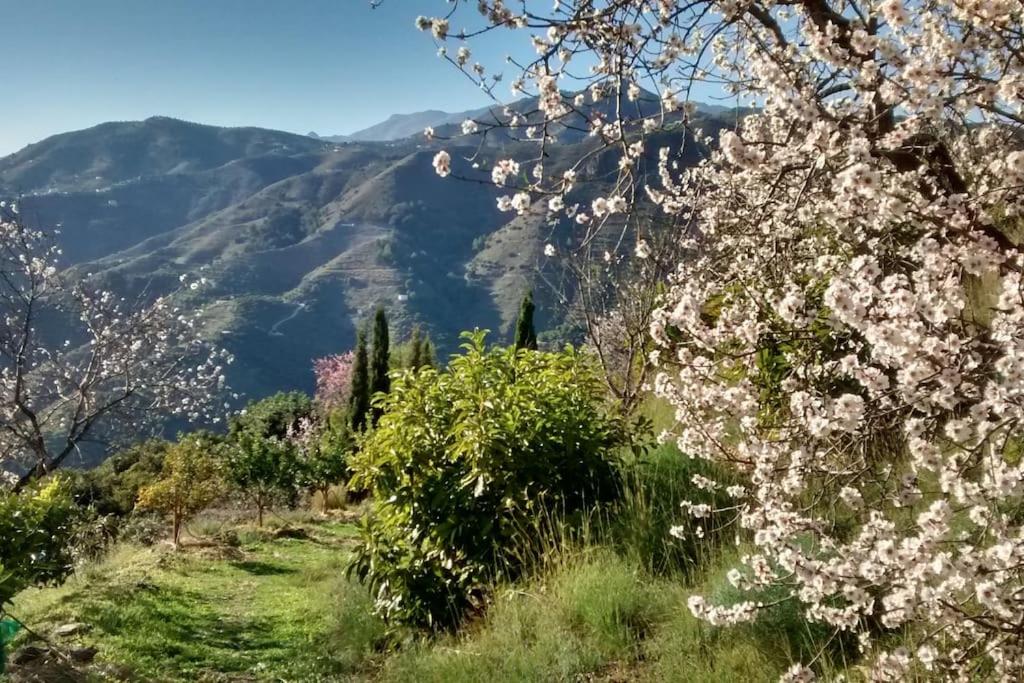 Villa Colina Tropical, between sea and mountains