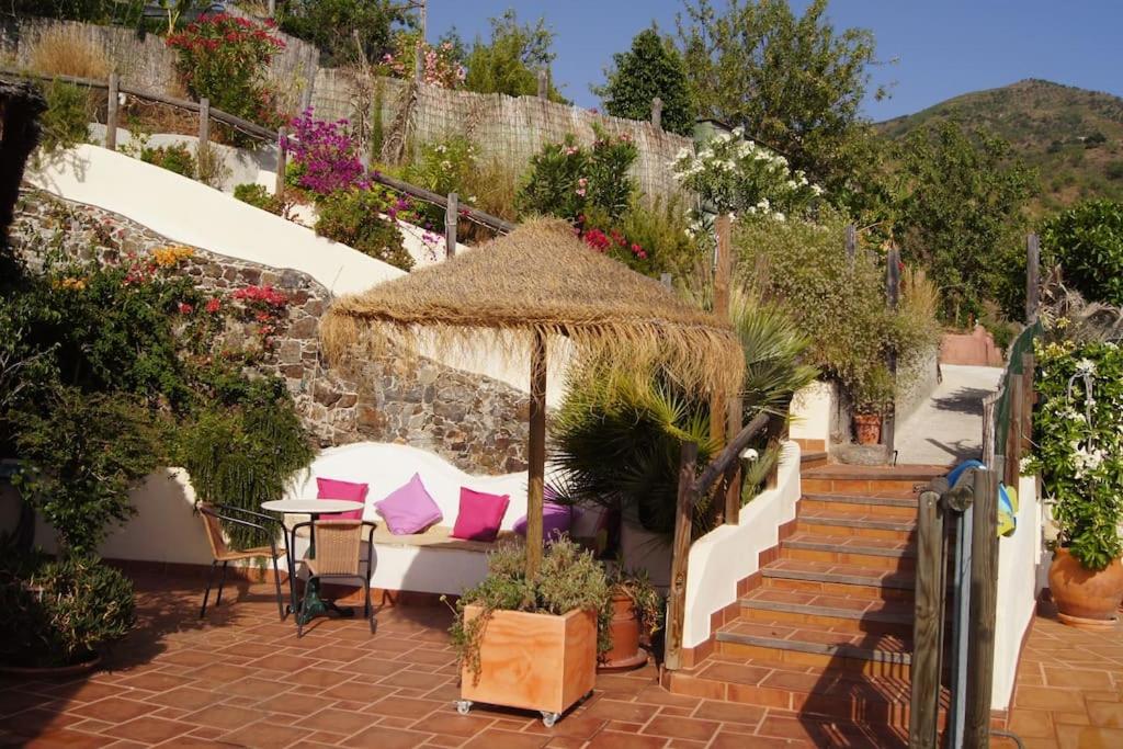 Villa Colina Tropical, between sea and mountains