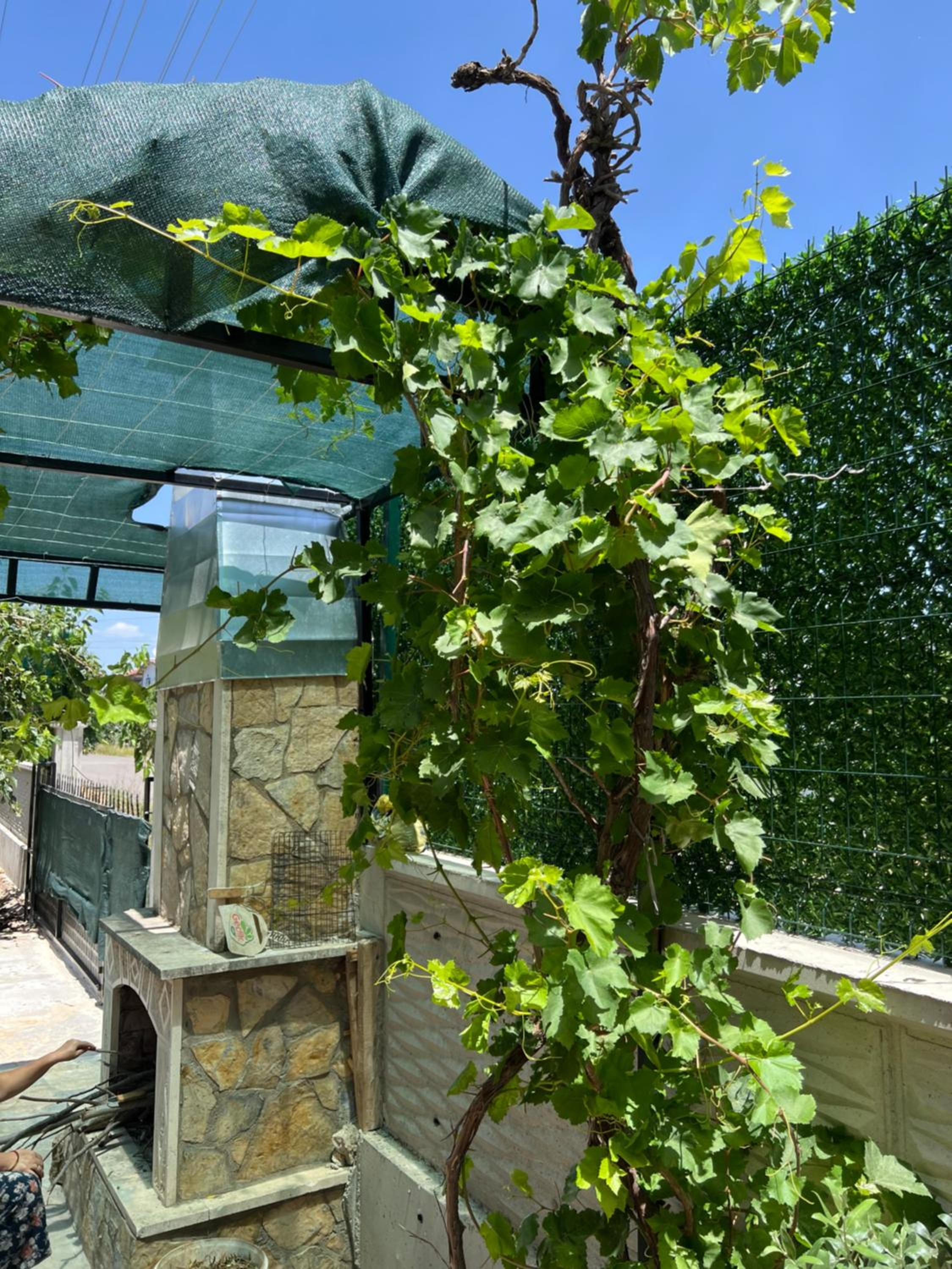Villa Olive Private Pool