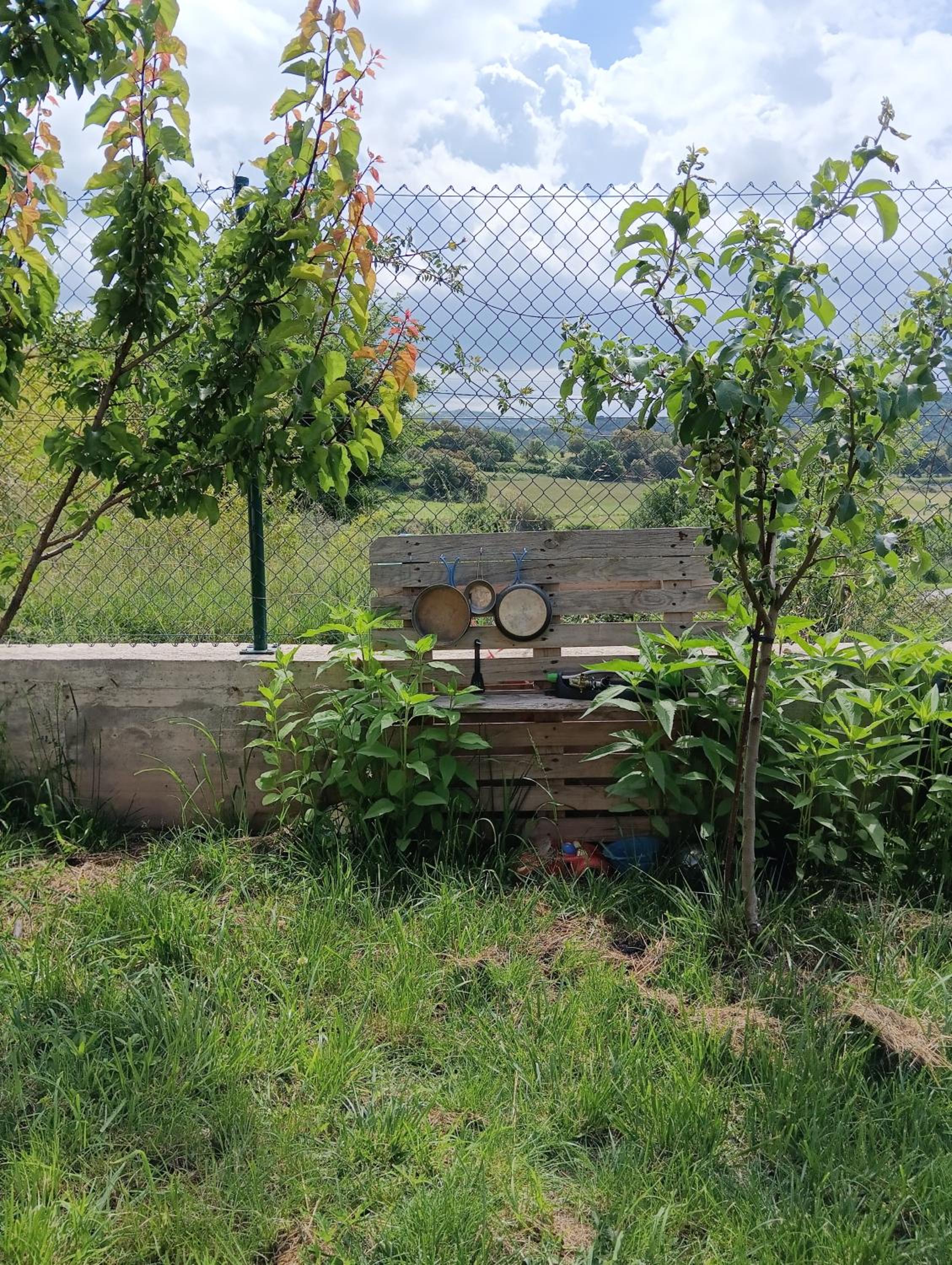 la caseta viva