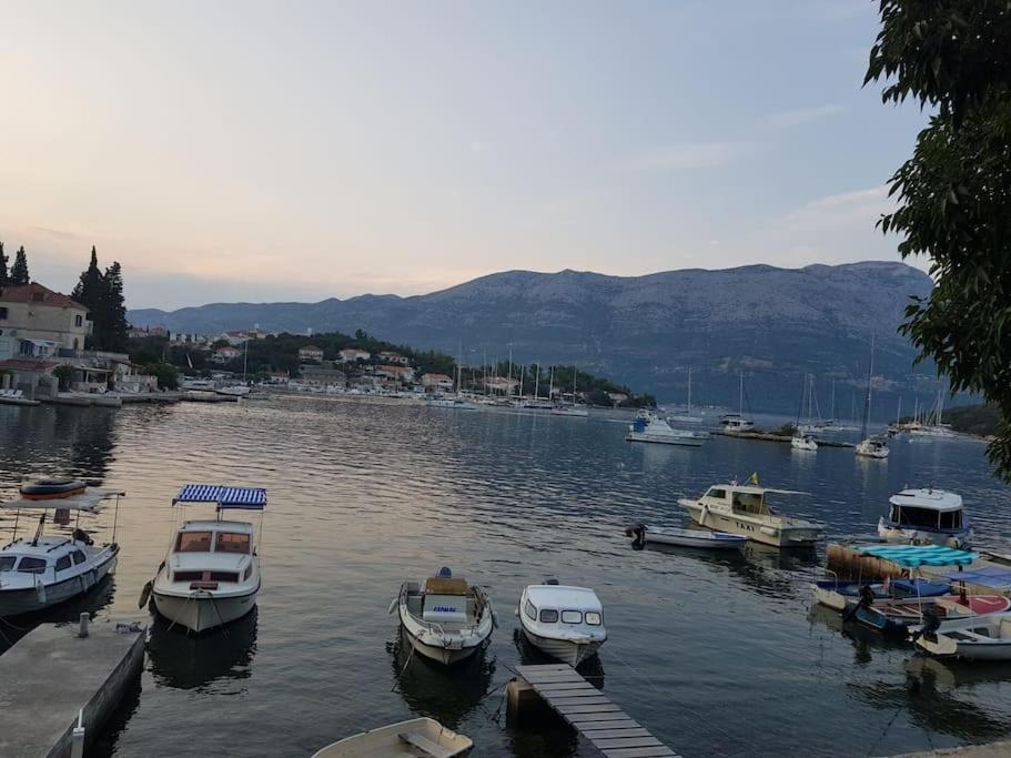 Apartman Petar