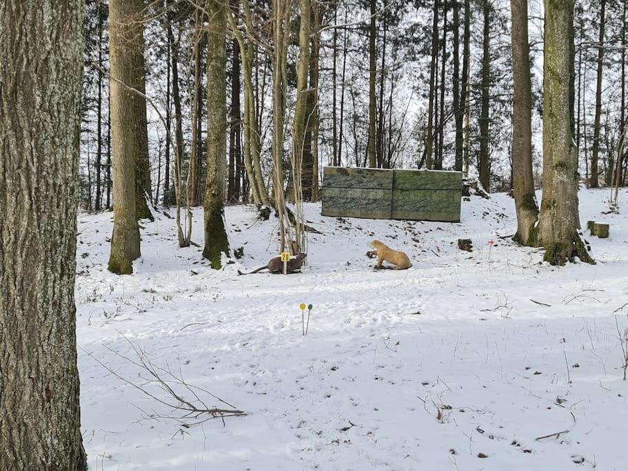 Historischer Gutshof, Bogensportzentrum Kremstal
