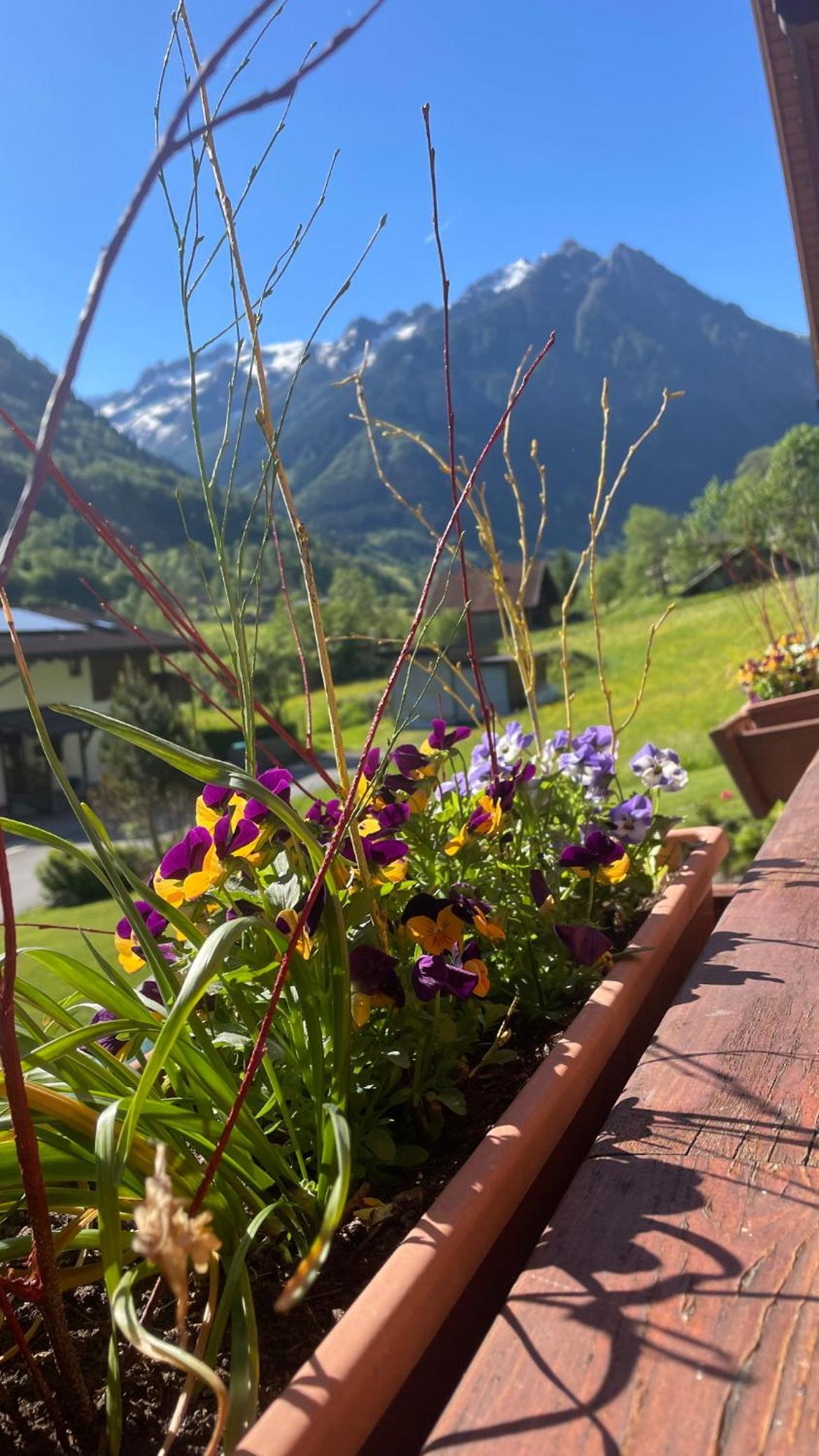 WEIBELS AlpenGlück am Großglockner