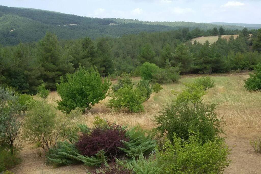 Yeşilin ortasında huzur view 2