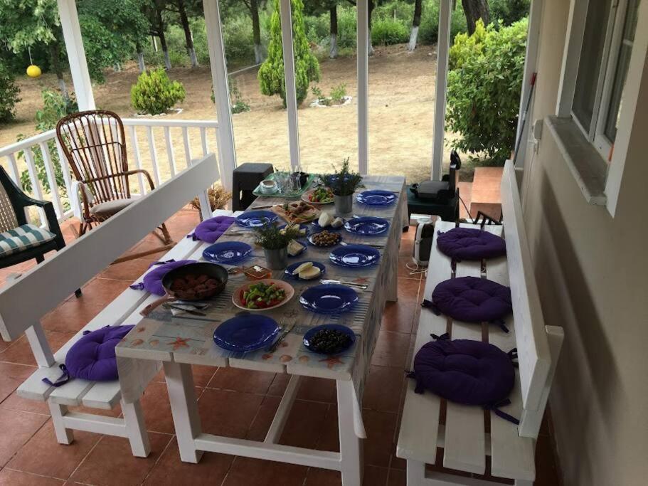 Yeşilin ortasında huzur view 3