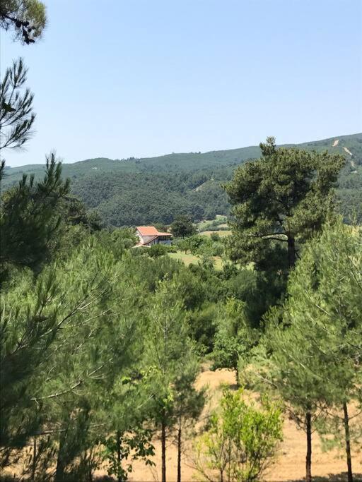 Yeşilin ortasında huzur view 5