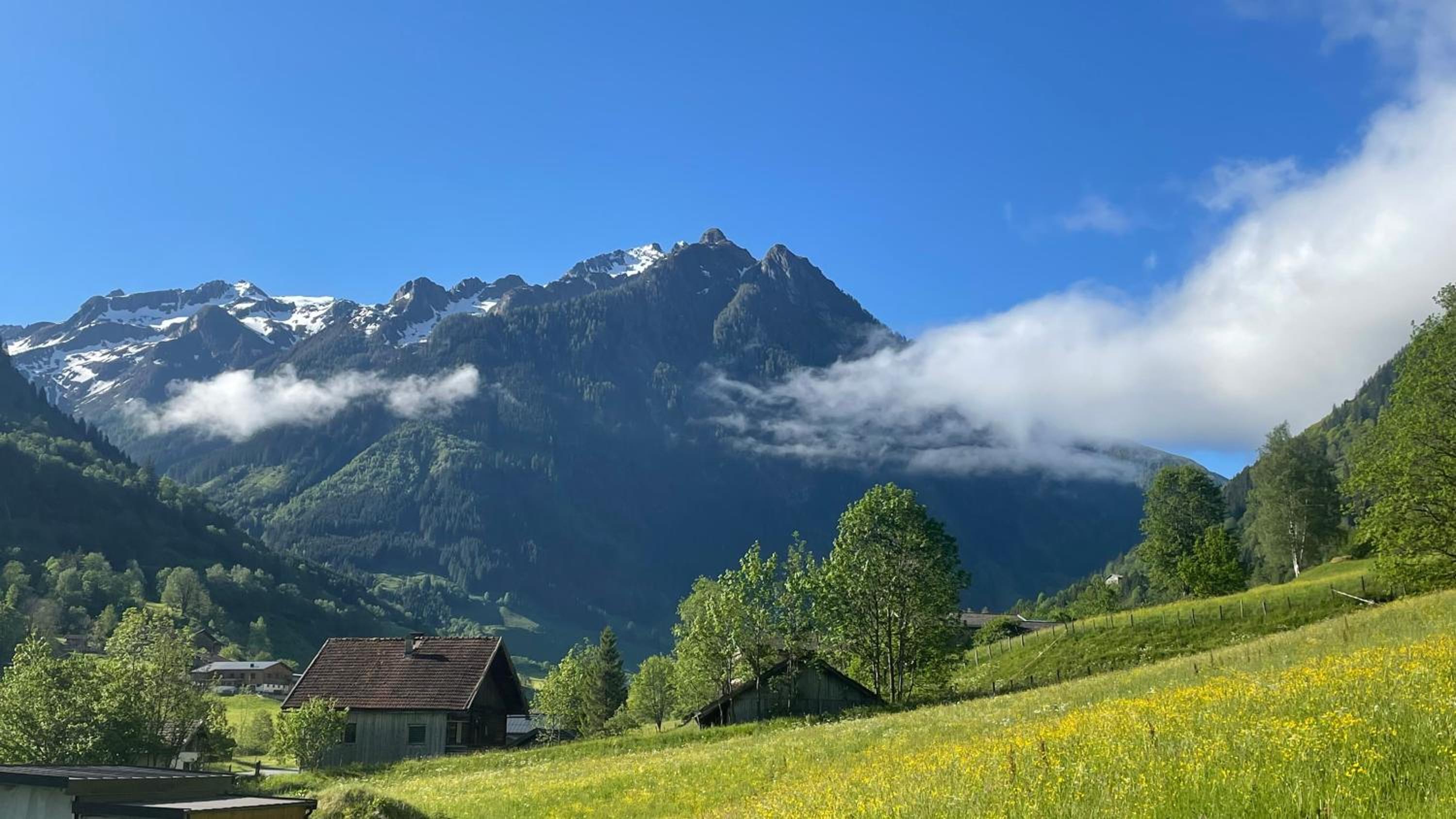 WEIBELS AlpenGlück am Großglockner