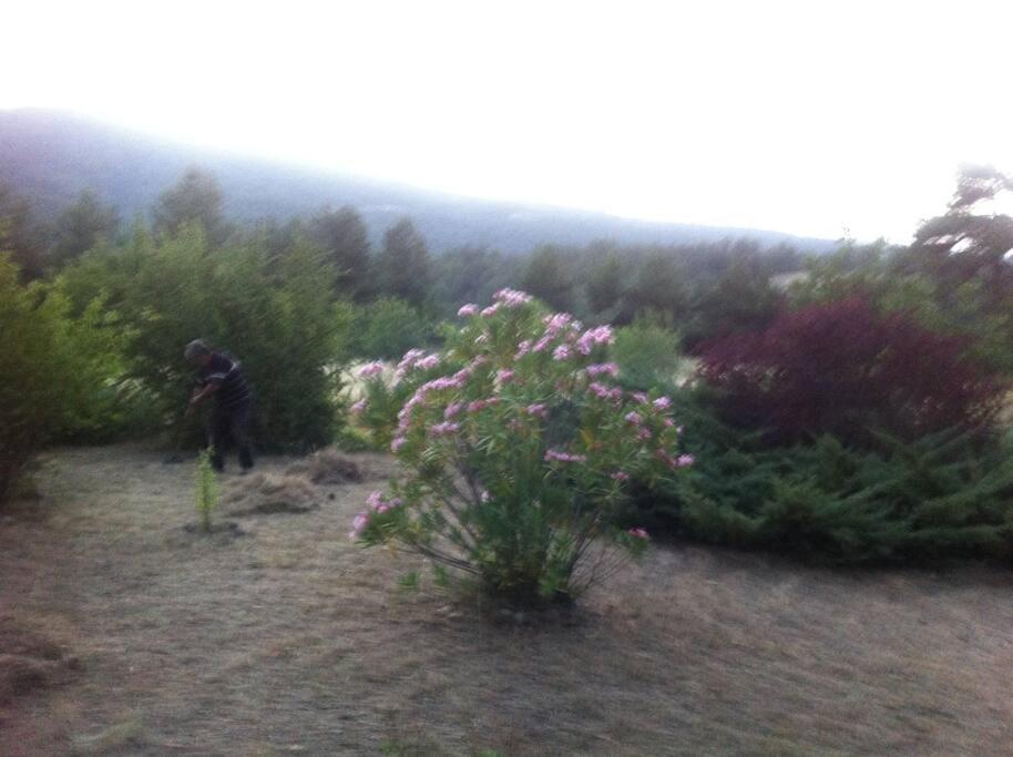 Photo 18