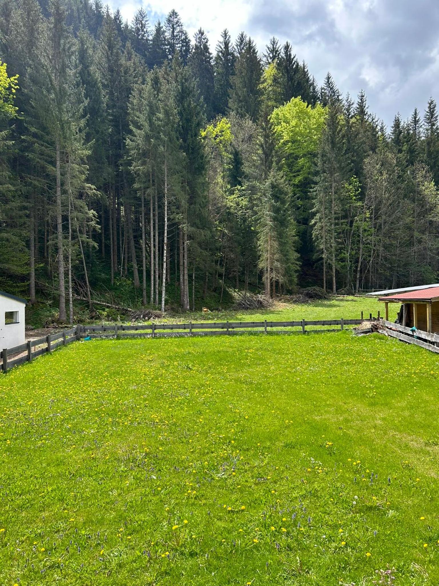Ferienhaus Bodental