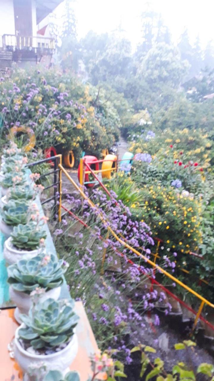 Sapa Tatu Homestay