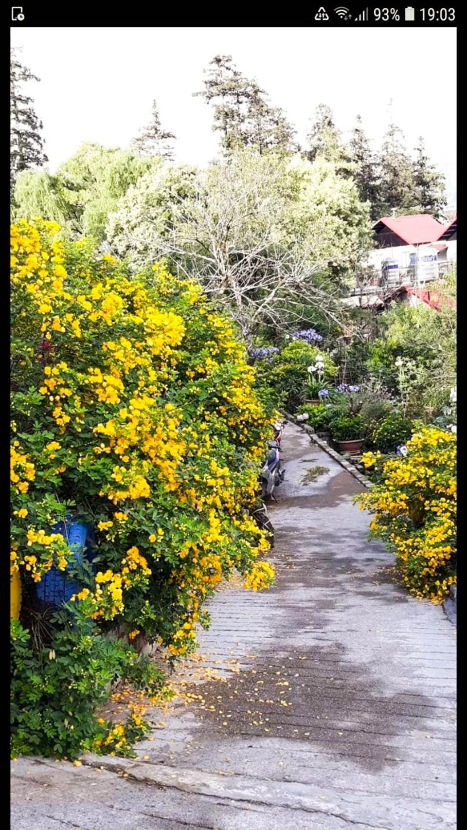 Sapa Tatu Homestay