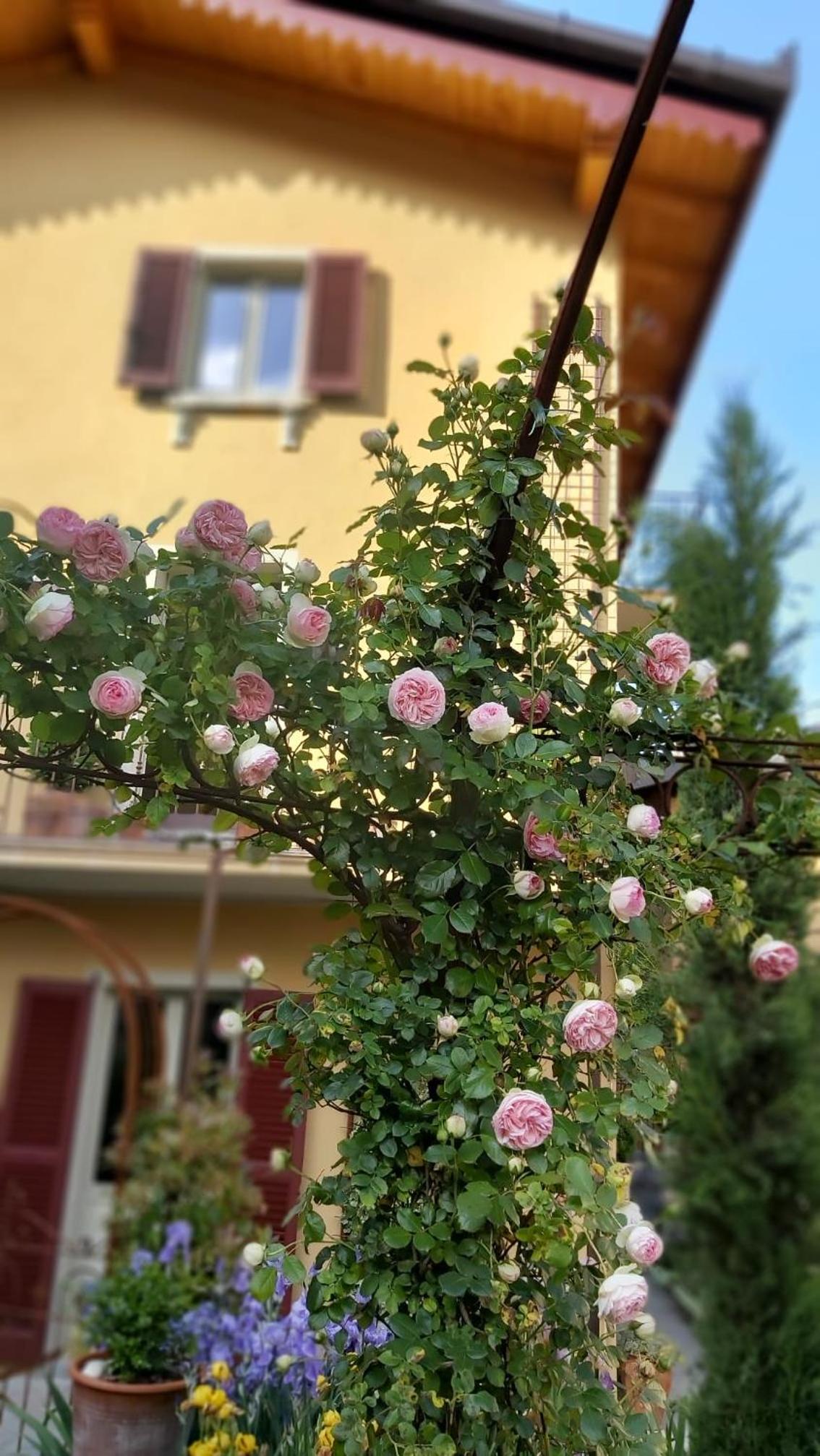 Villa Costanza Appartamento con giardino photo 2