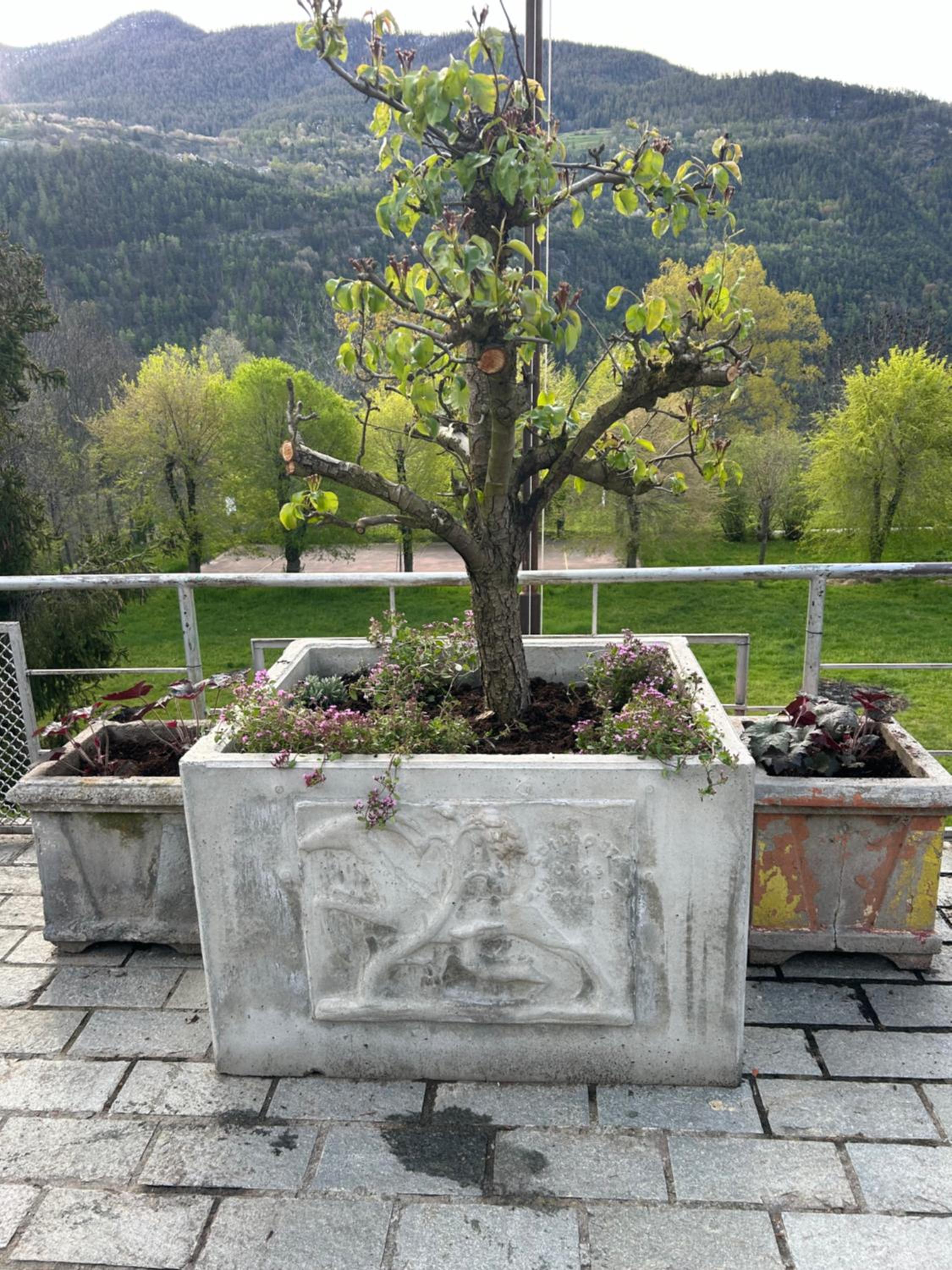 Photo 8
