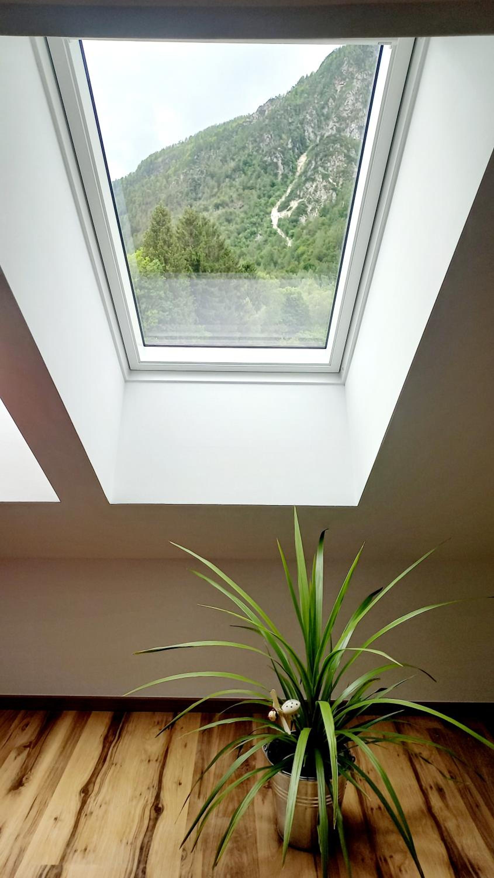 Apartma Rožle view 2