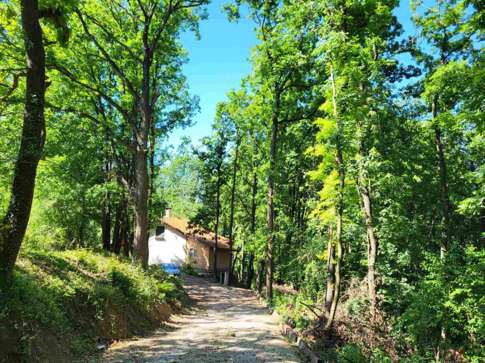 Šumski raj Lipovica