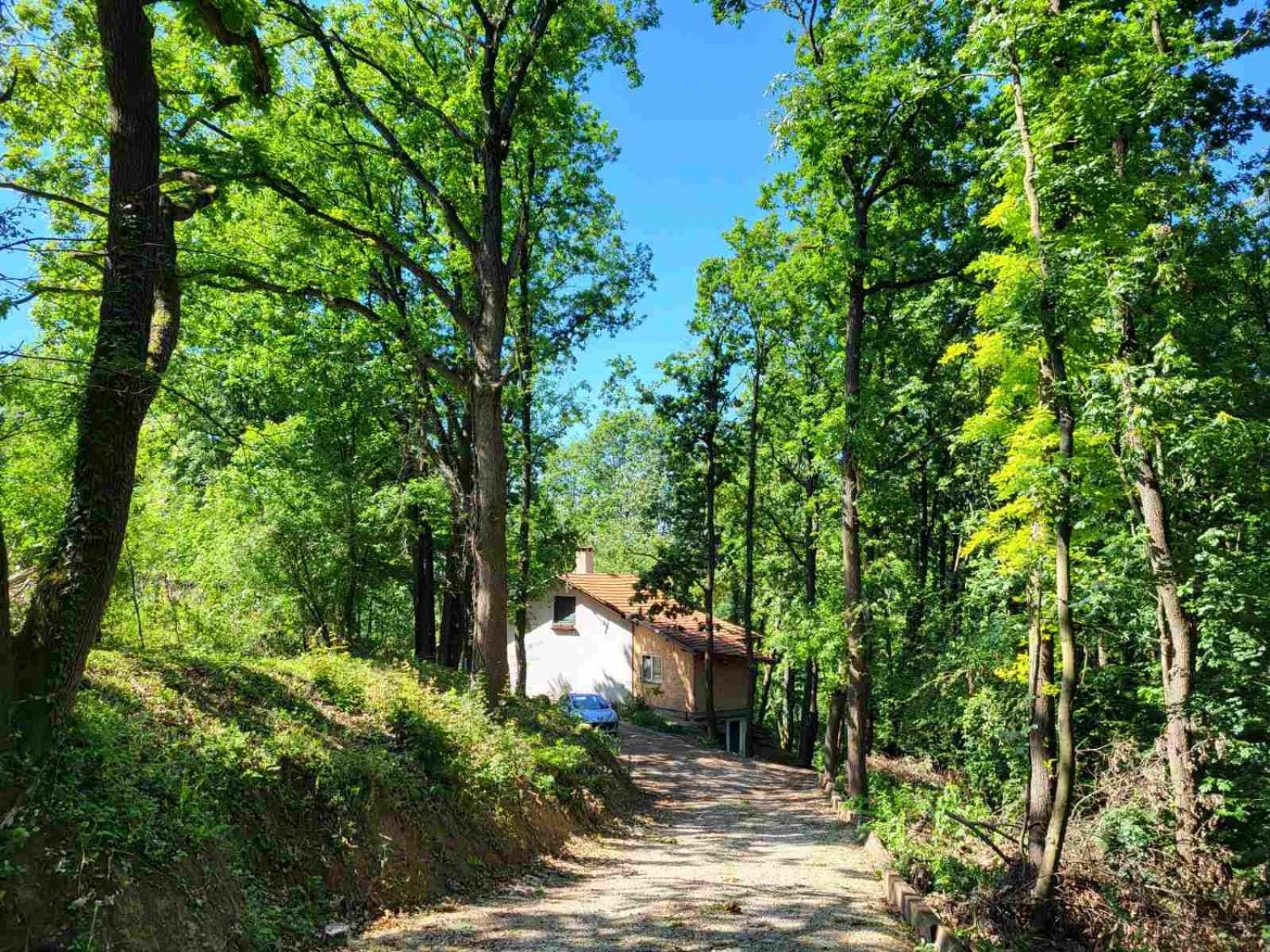Šumski raj Lipovica