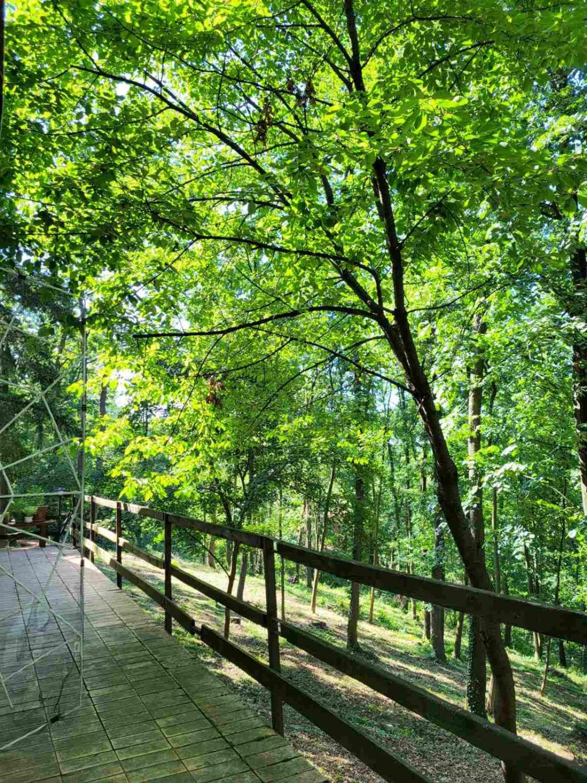 Šumski raj Lipovica
