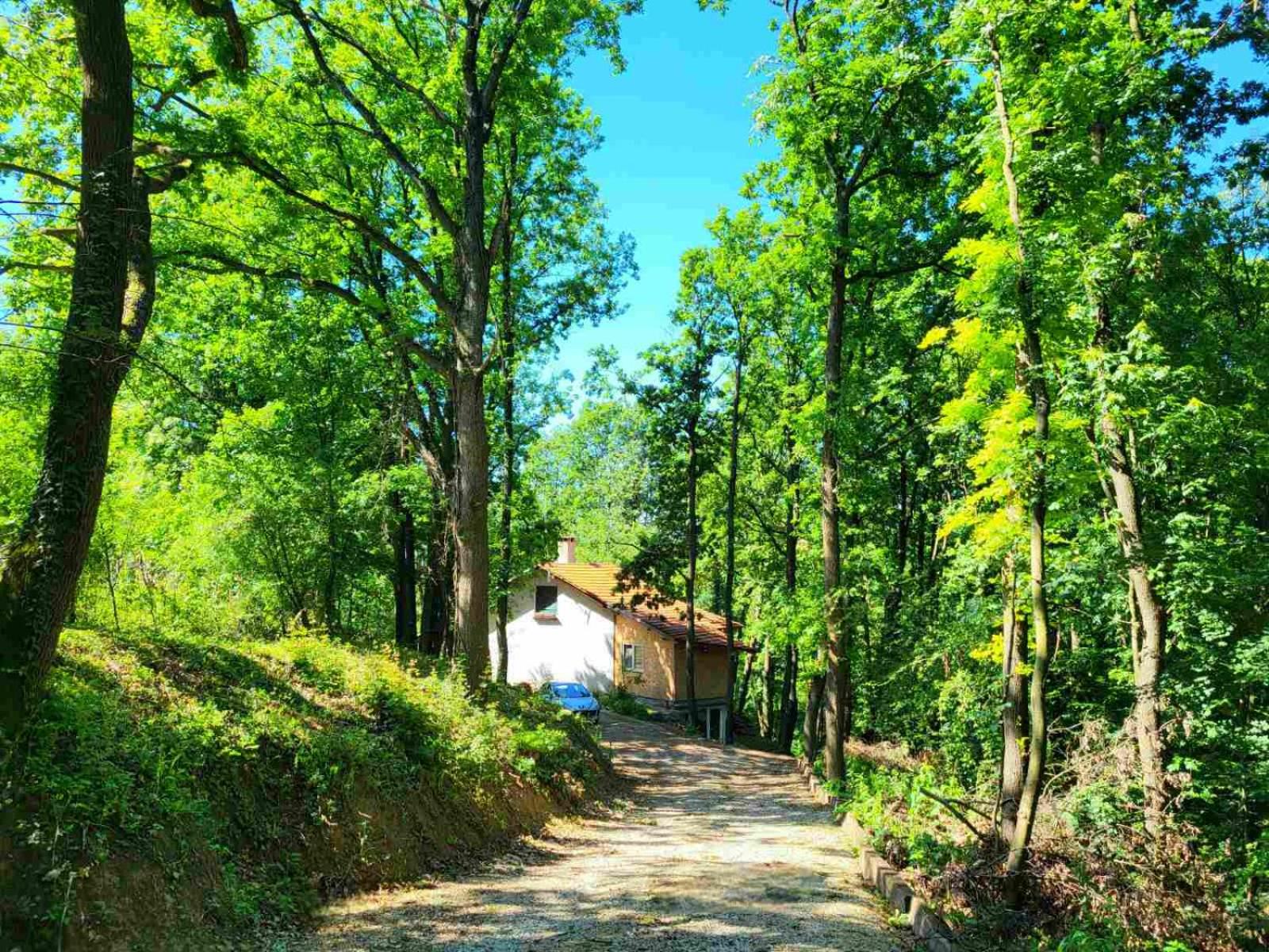 Šumski raj Lipovica