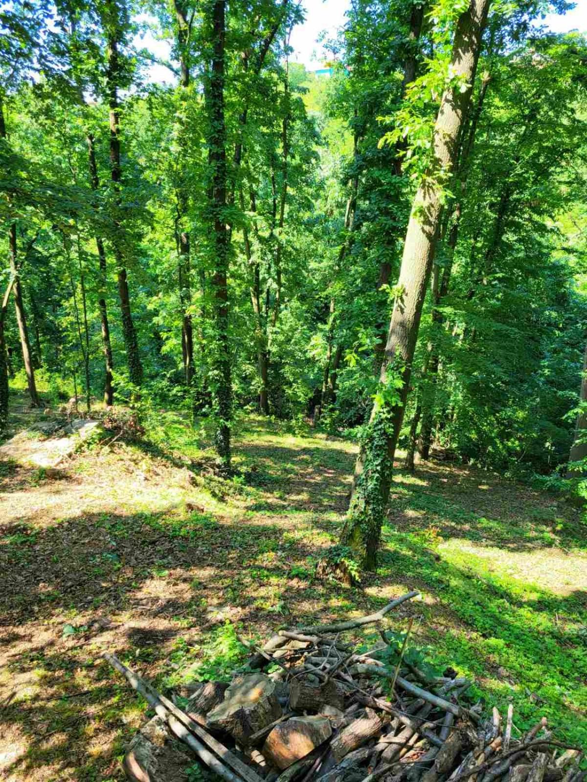 Šumski raj Lipovica