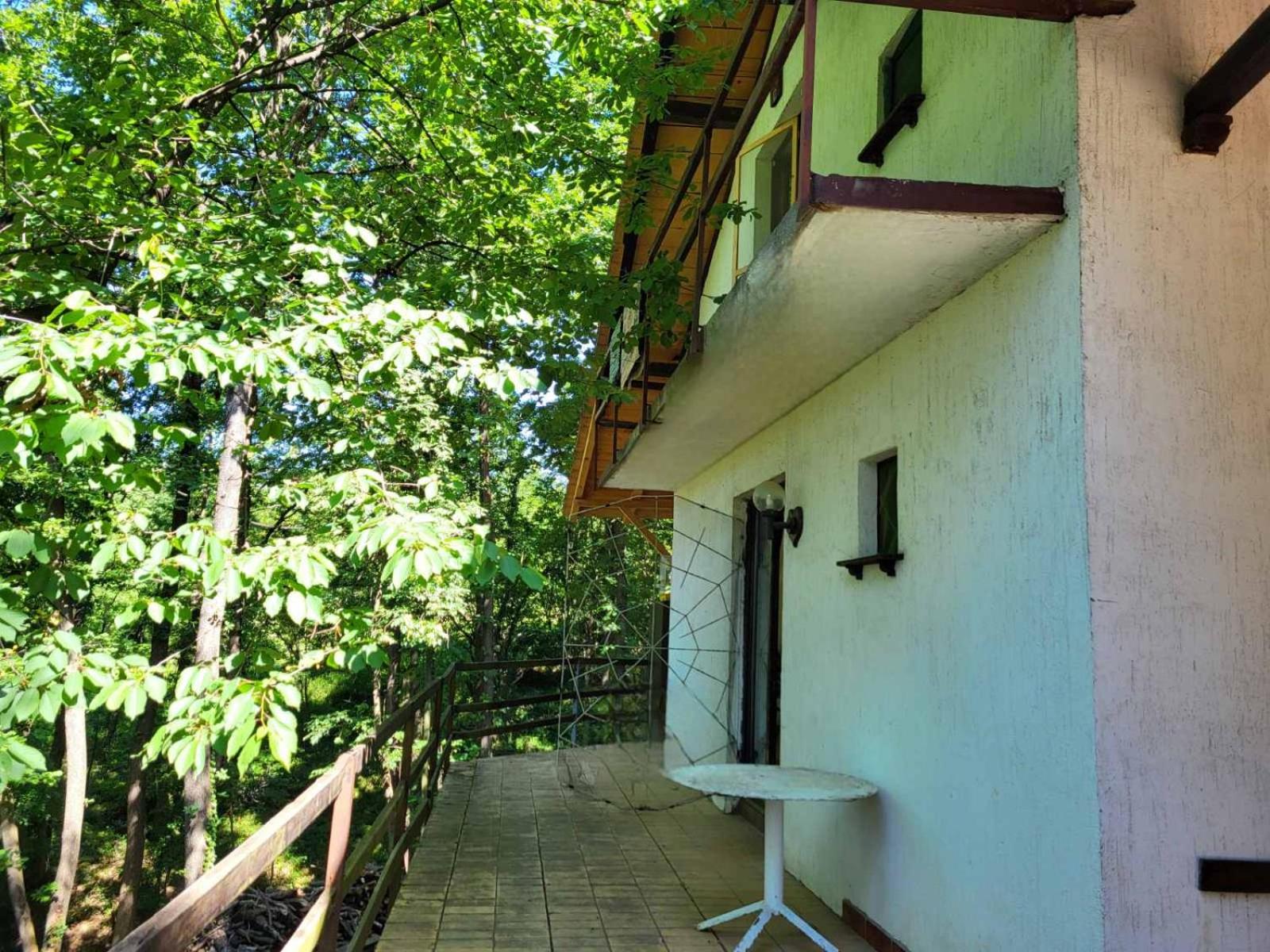 Šumski raj Lipovica