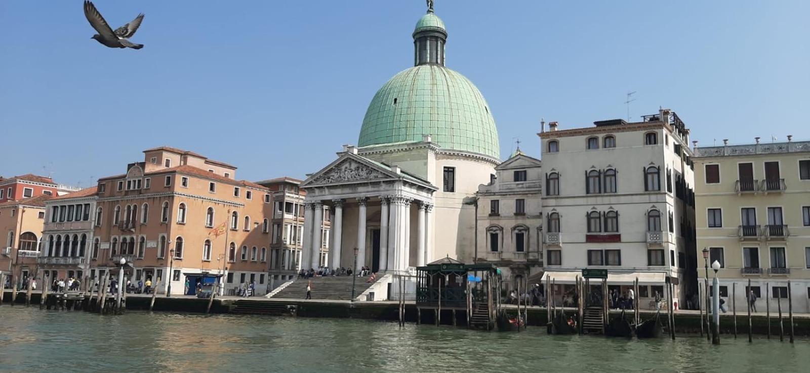 Marina's Venice garden view 5