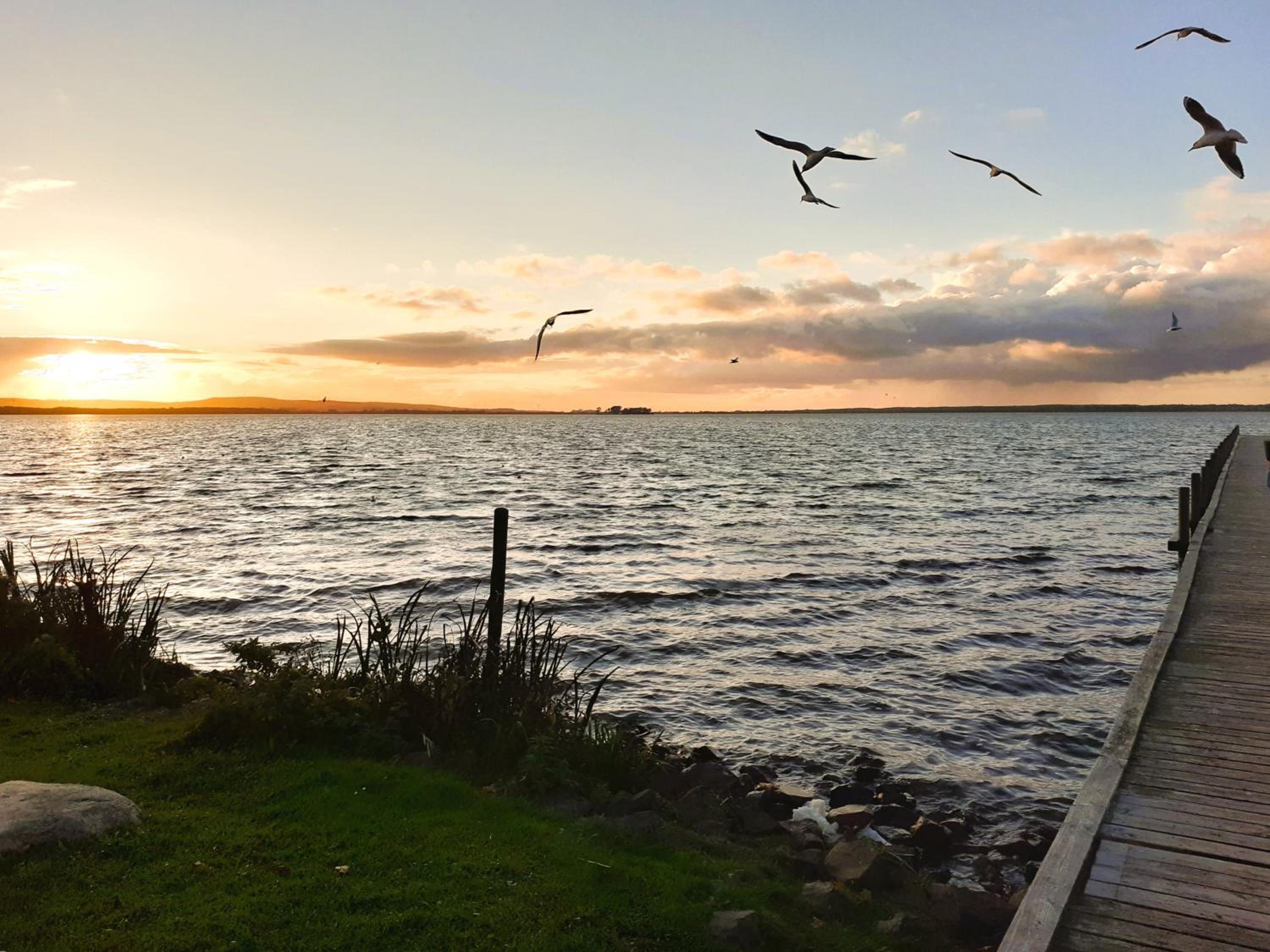Ferienwohnungen Dornbusch mit Blick aufs Steinhuder Meer, Parkplatz inklusive