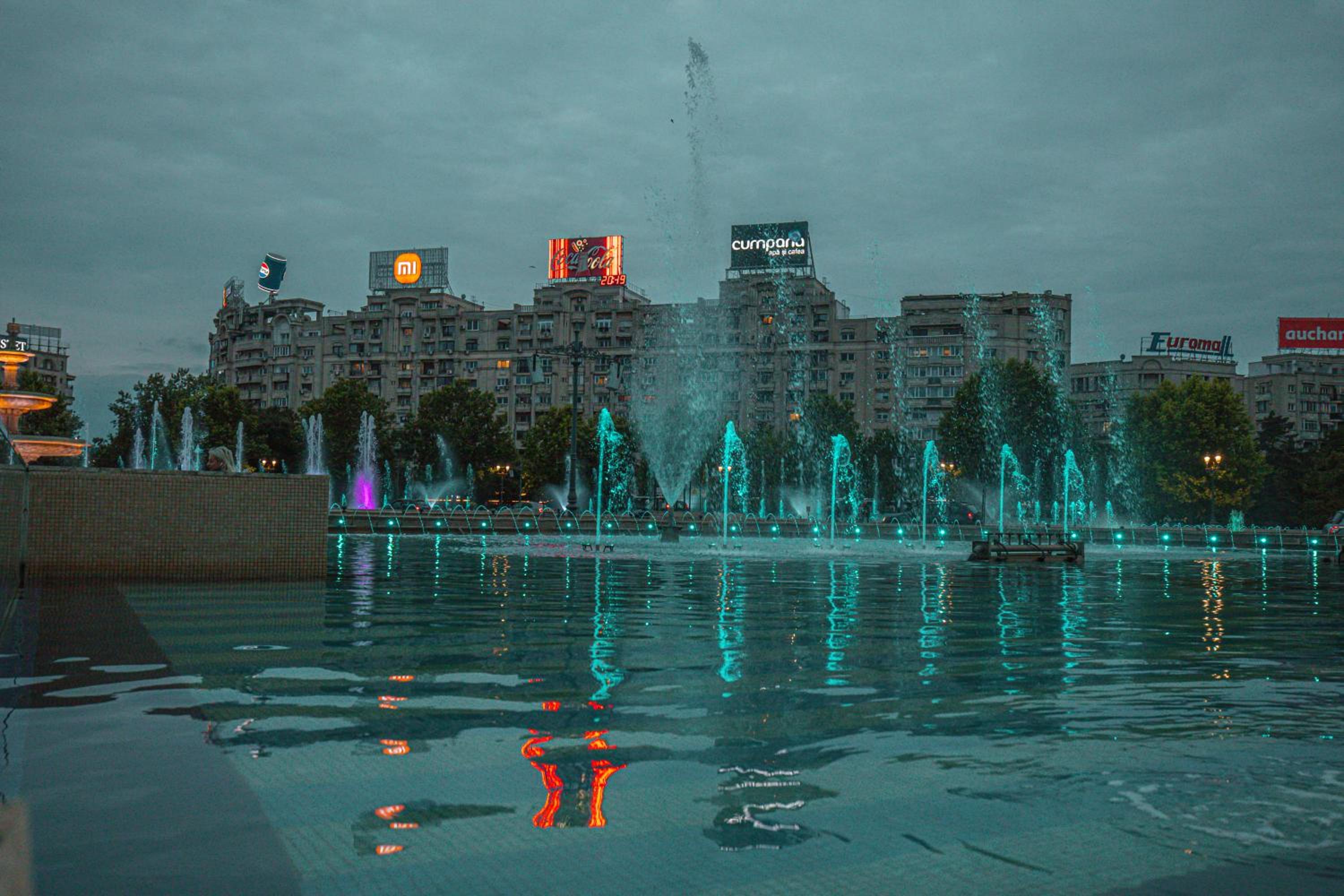 Fountain Bloom