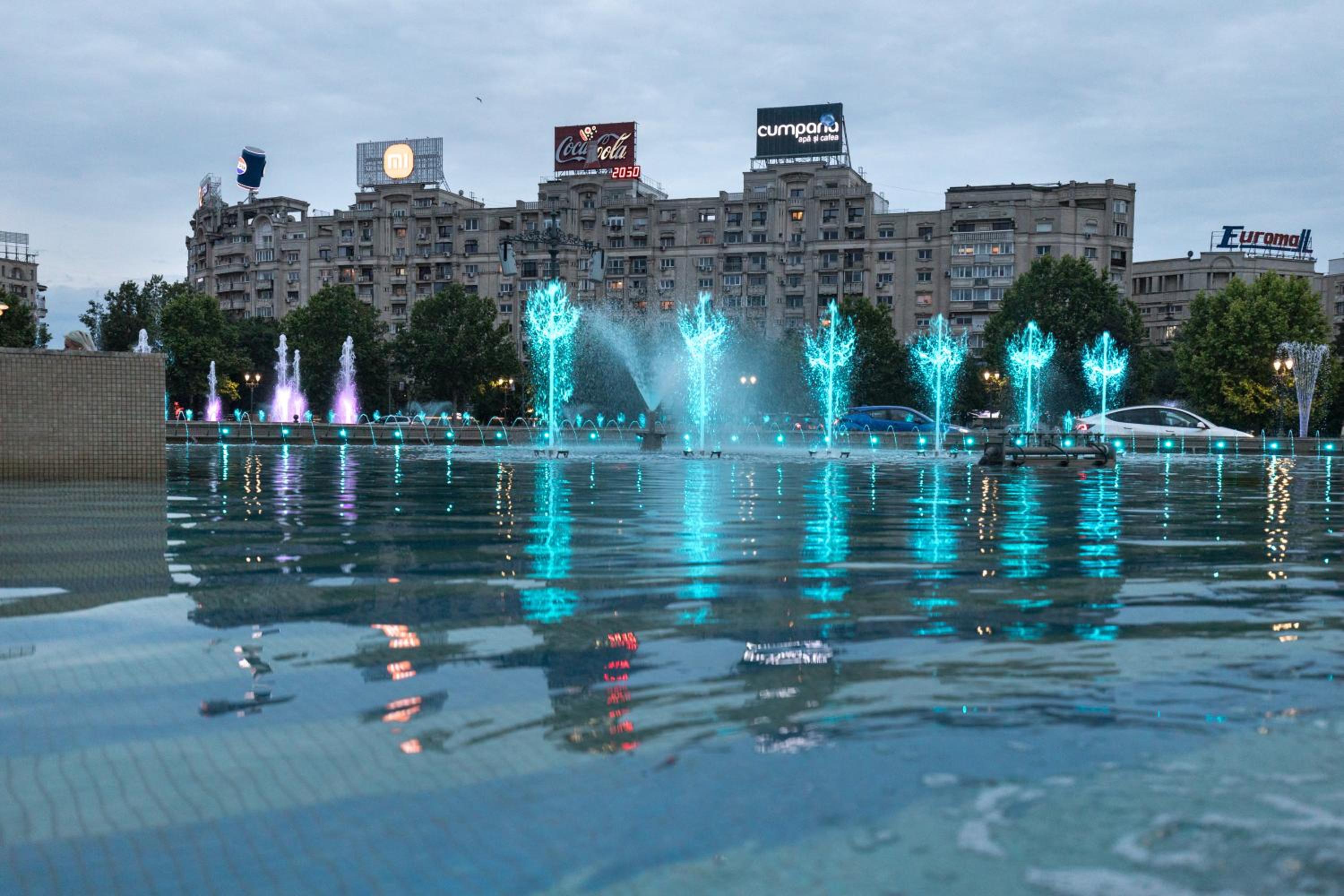 Fountain Bloom