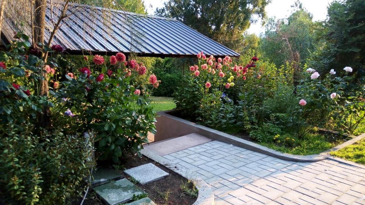 Cabañas Terra