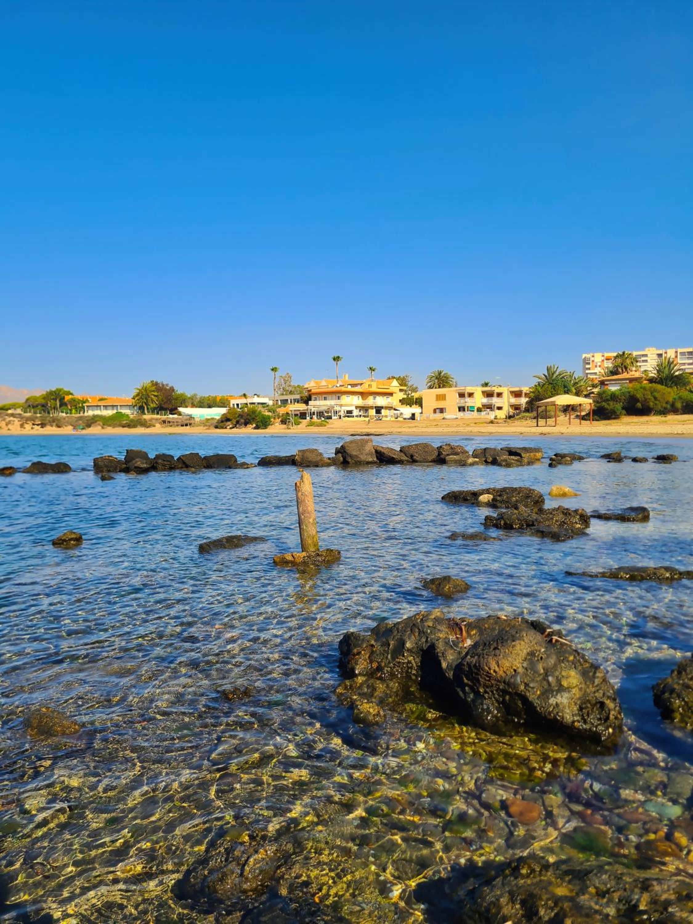 Maxcaly Playa by Blossom Hotels view 4