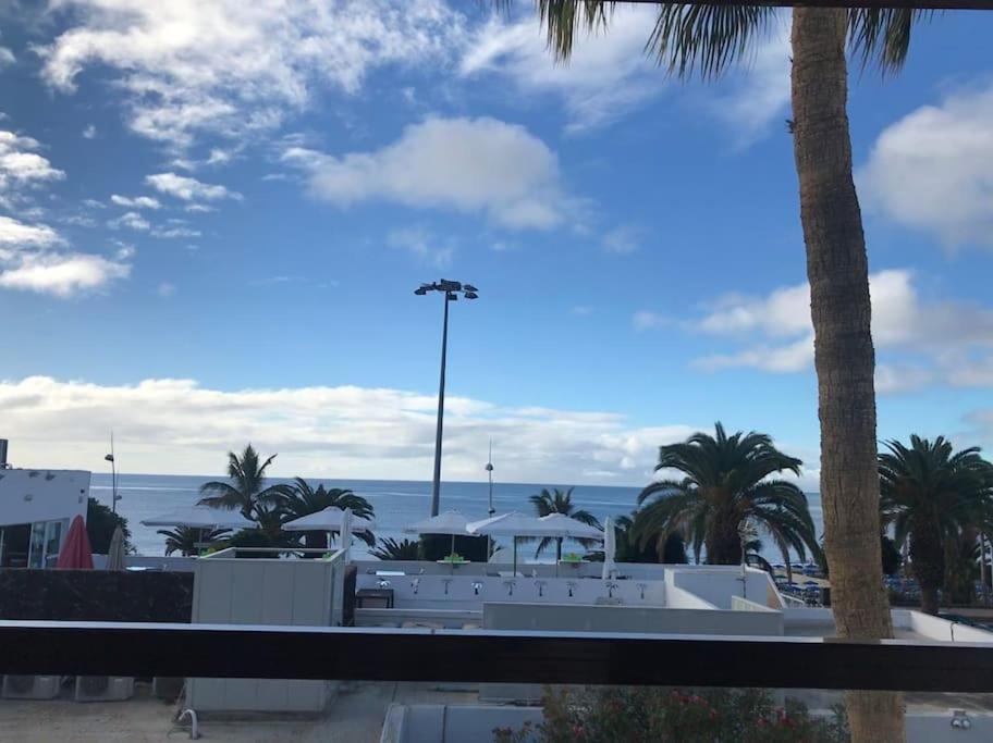 D12 las tabaibas view 5