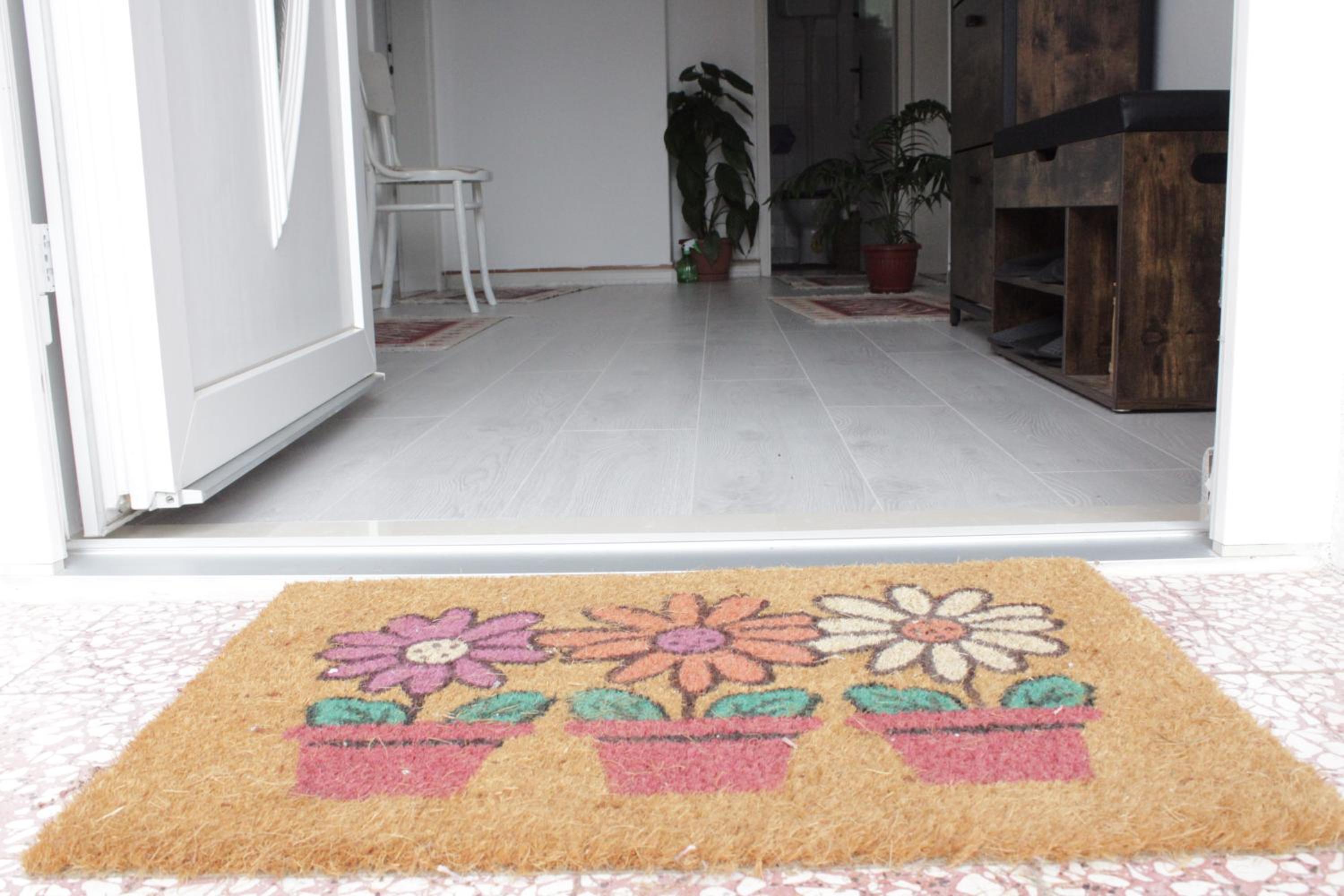 Apartman ZORA s bazenom sa slanom vodom - nova sezona!