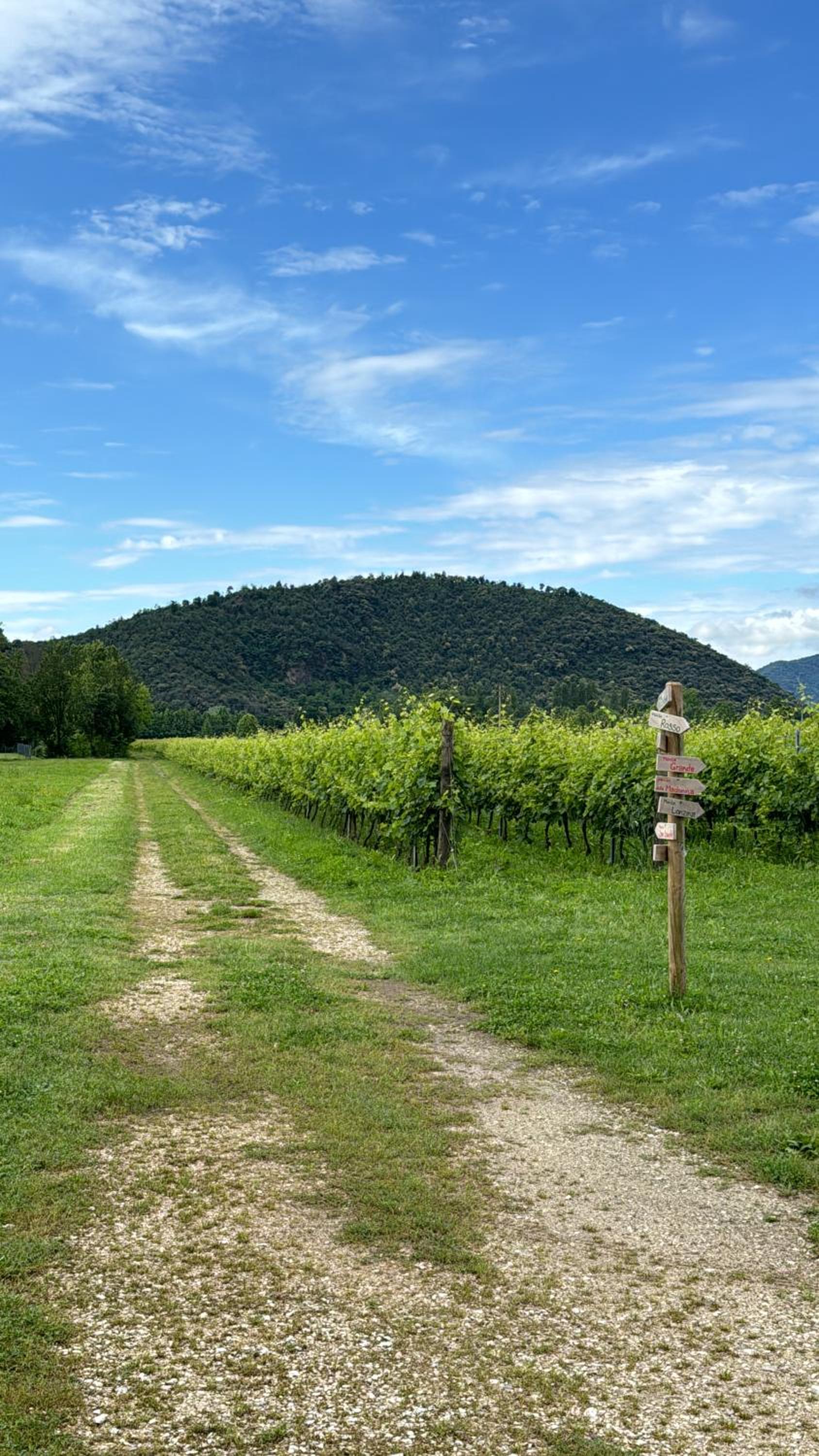 Appartamento casa vacanza Abano Terme Euganean Hills Holiday view 3