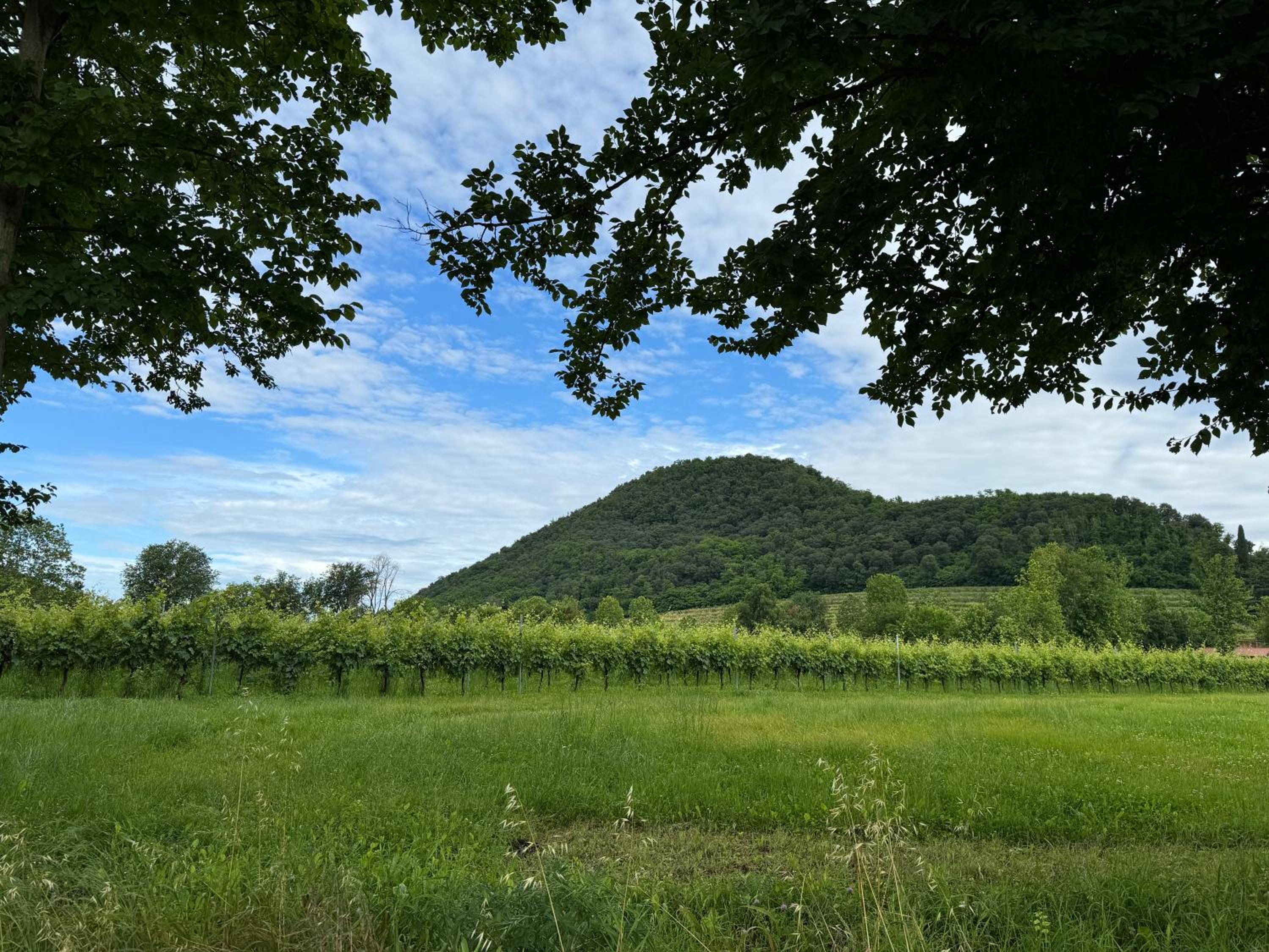 Appartamento casa vacanza Abano Terme Euganean Hills Holiday view 2