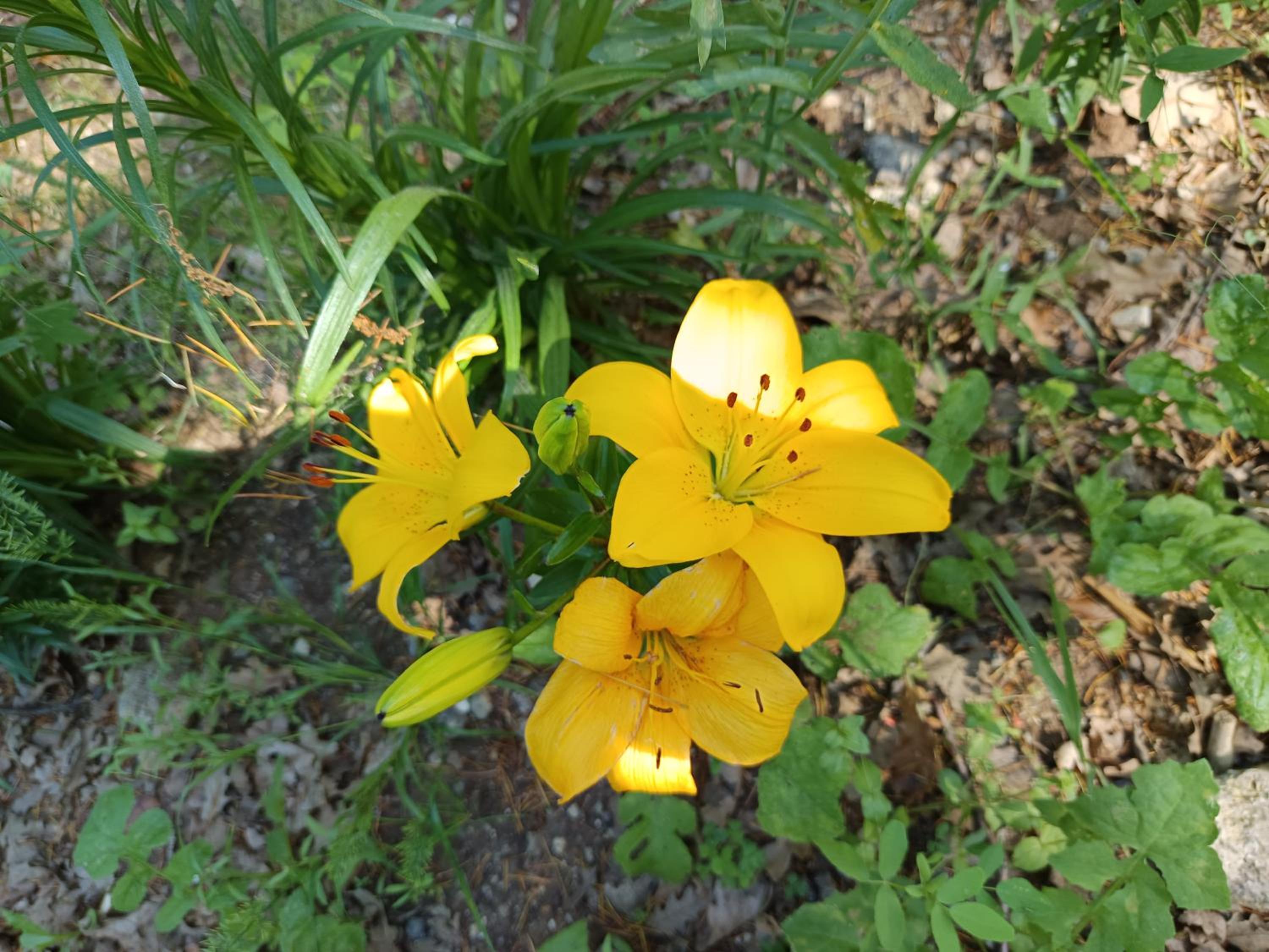 Photo 27