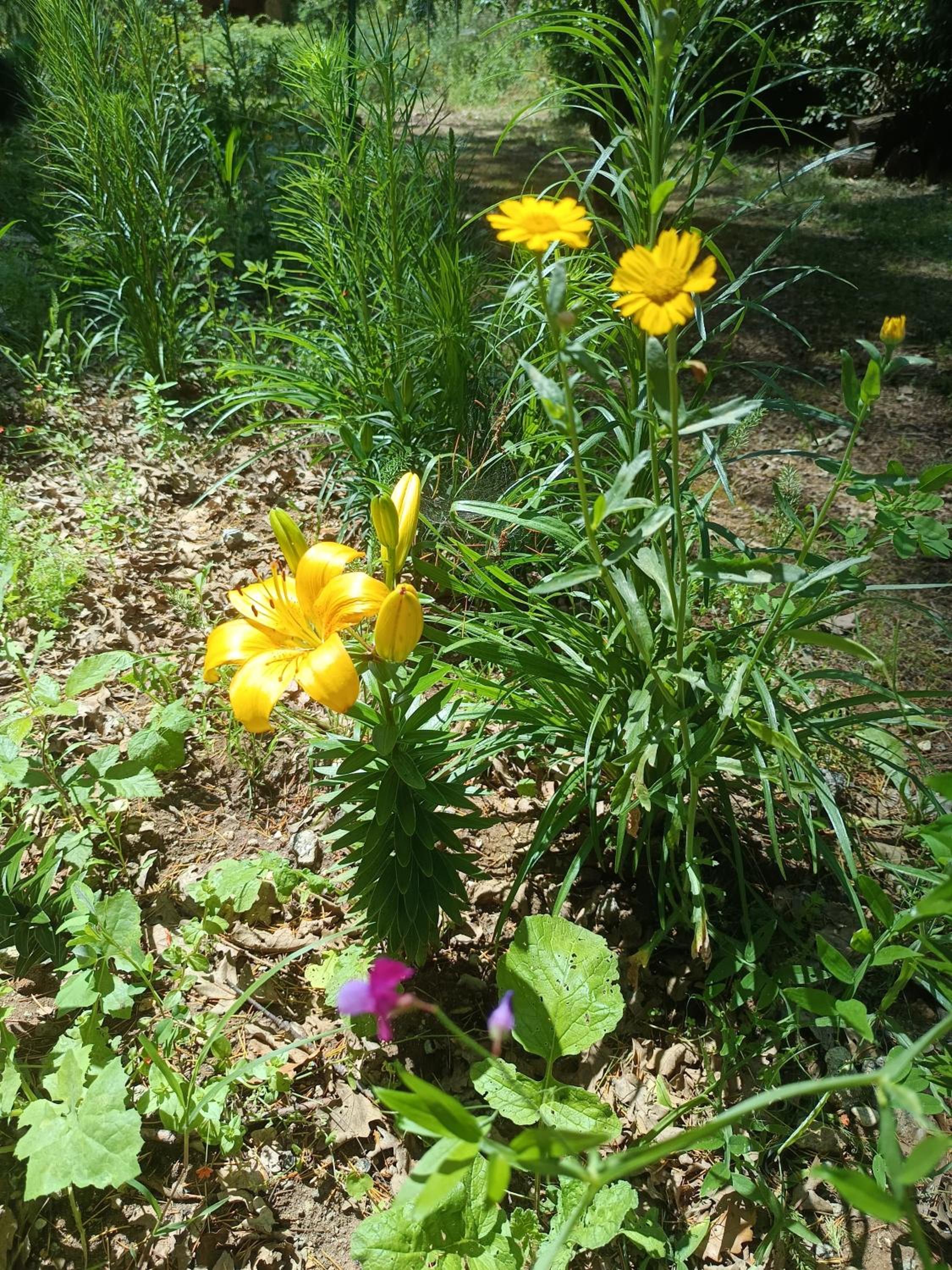 Photo 26
