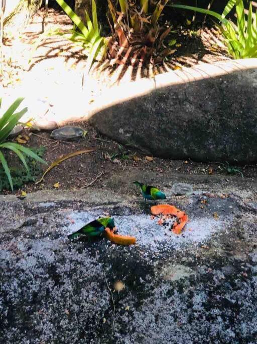 Casa em condomínio - Ilha Bela