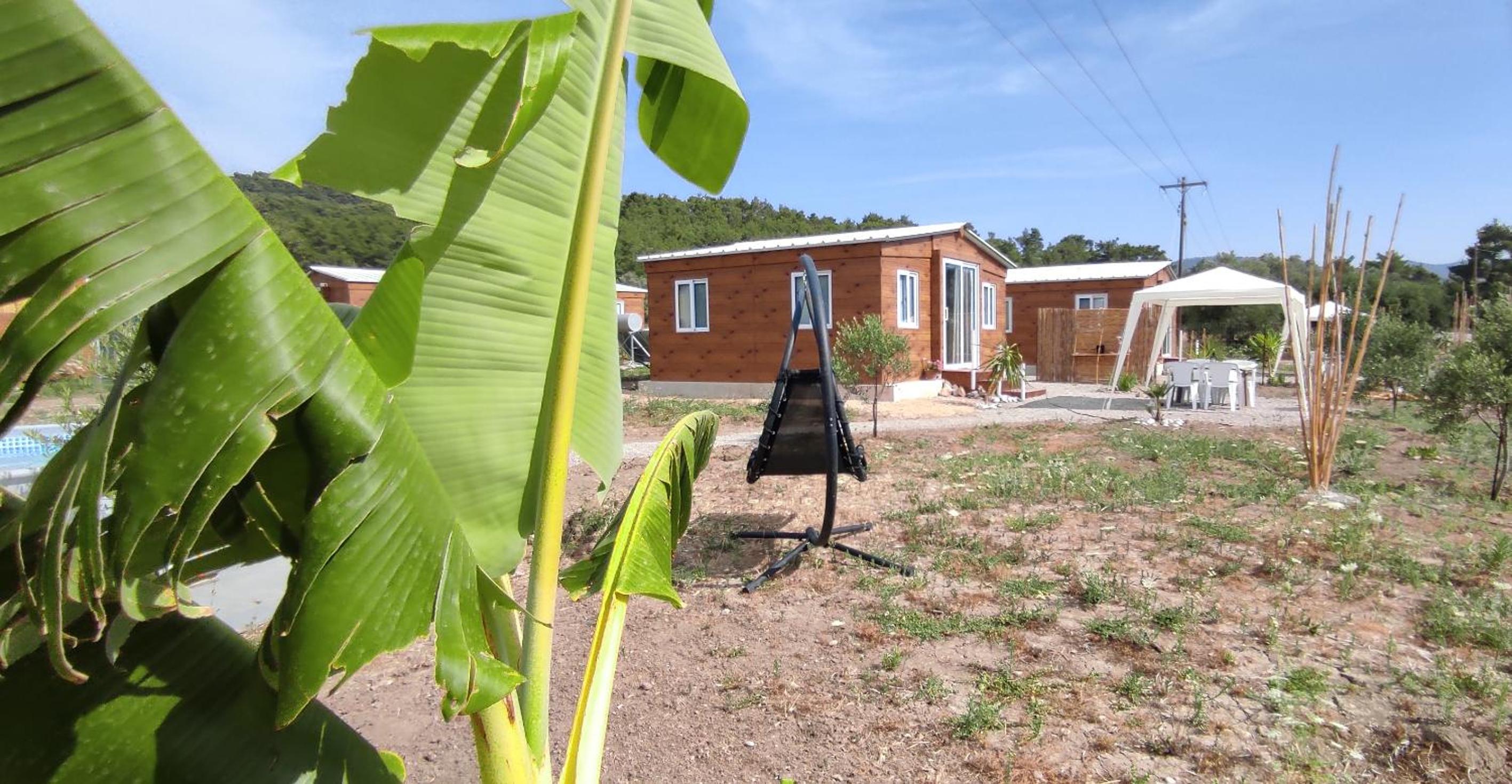 Mountain View Bungalows Dimilia