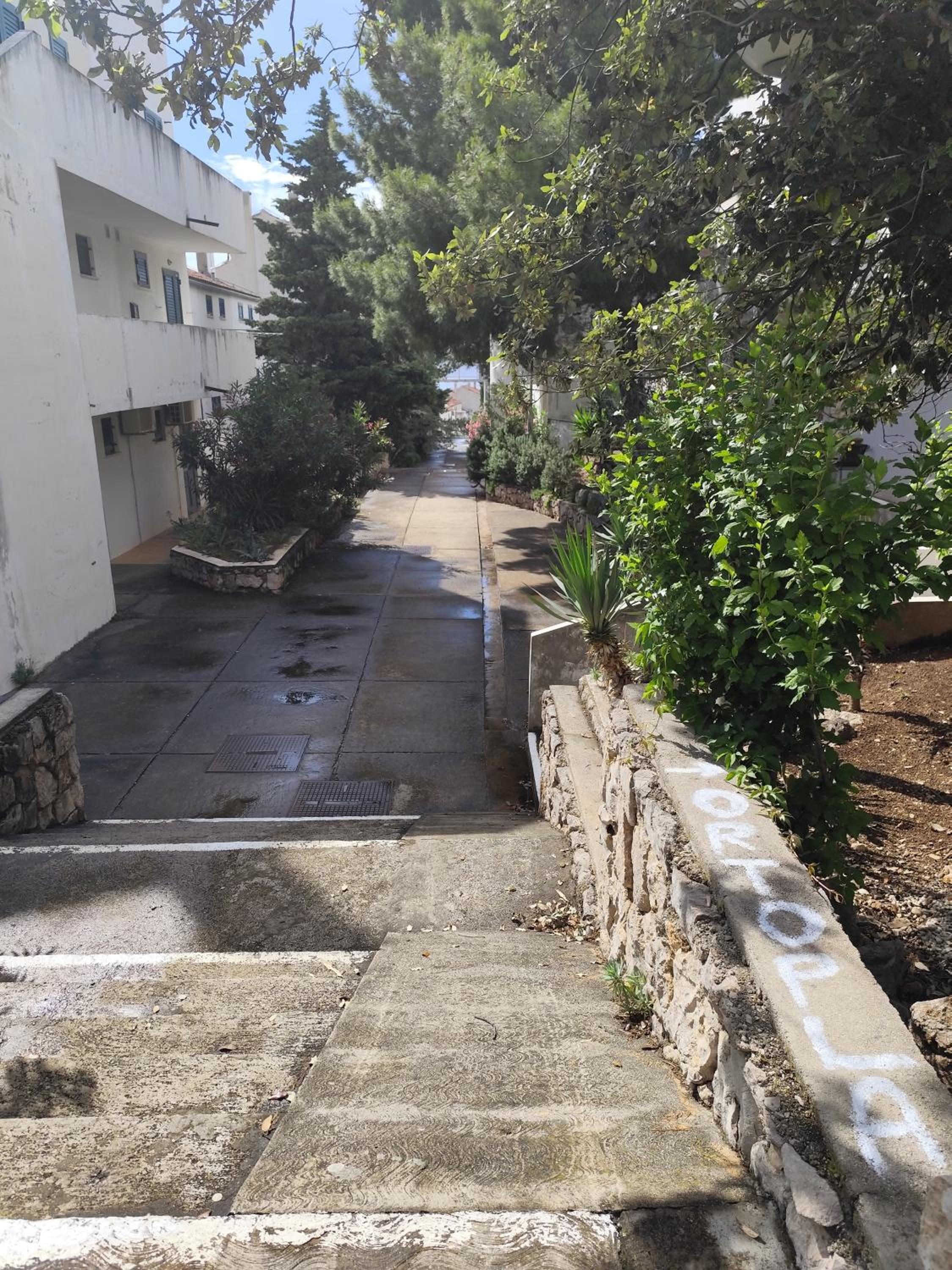Photo 30