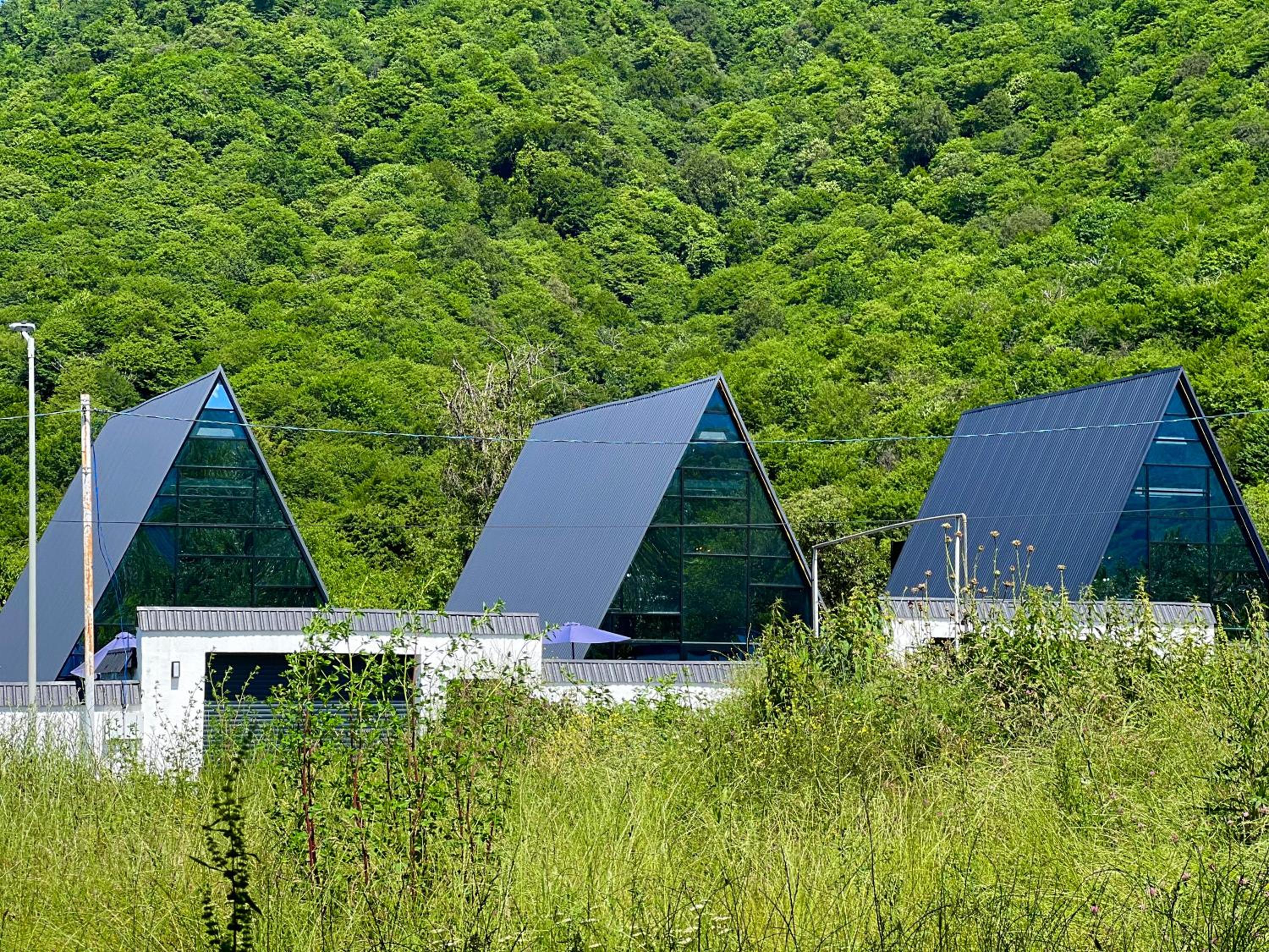 Qafqaz Falcon Chalet